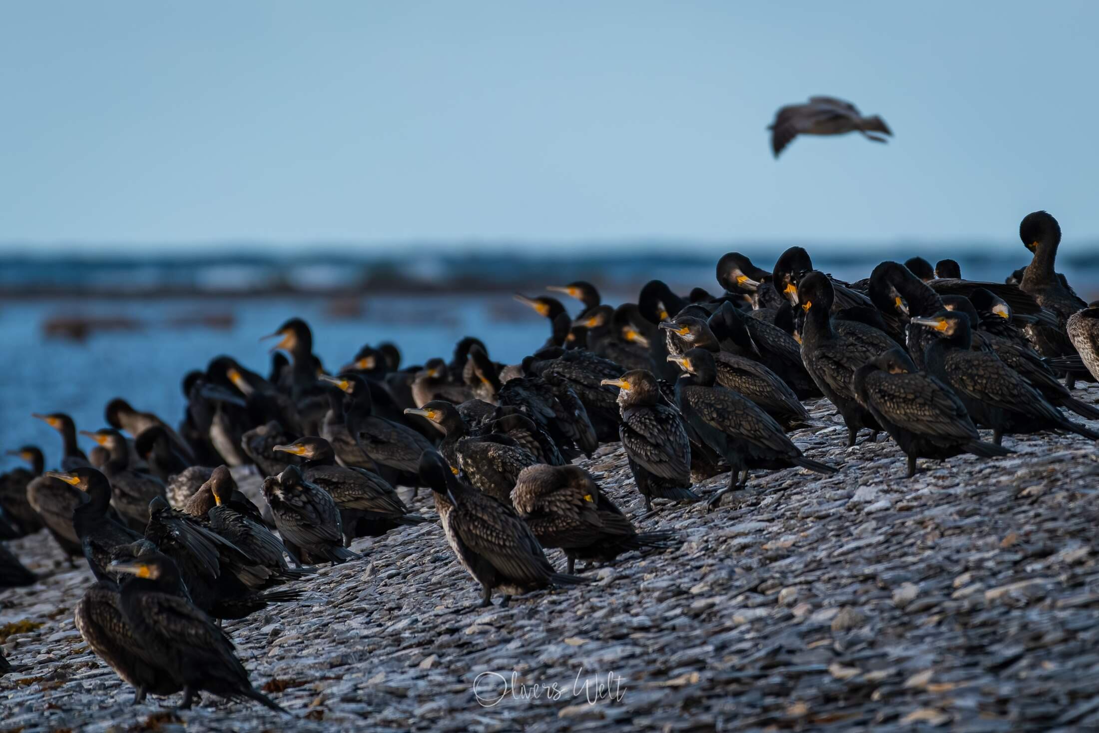 Bild ohne Beschreibung