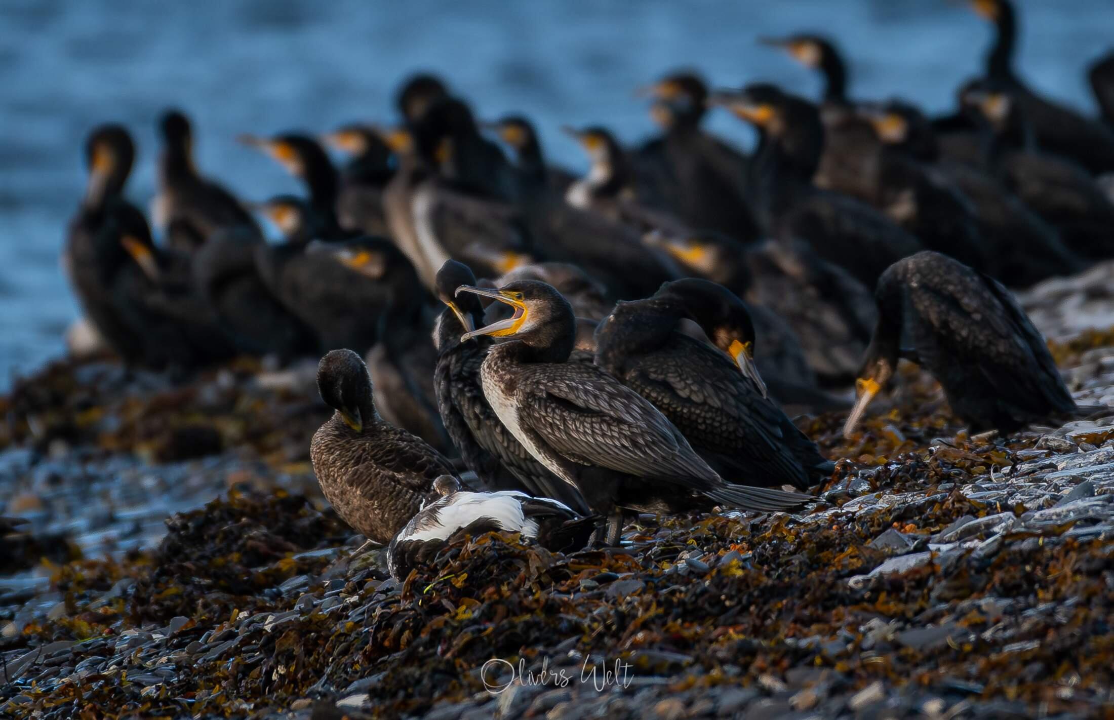 Bild ohne Beschreibung