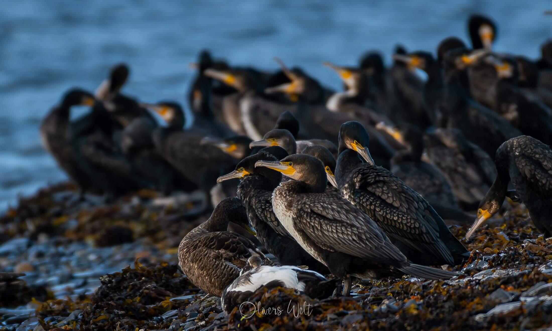 Bild ohne Beschreibung