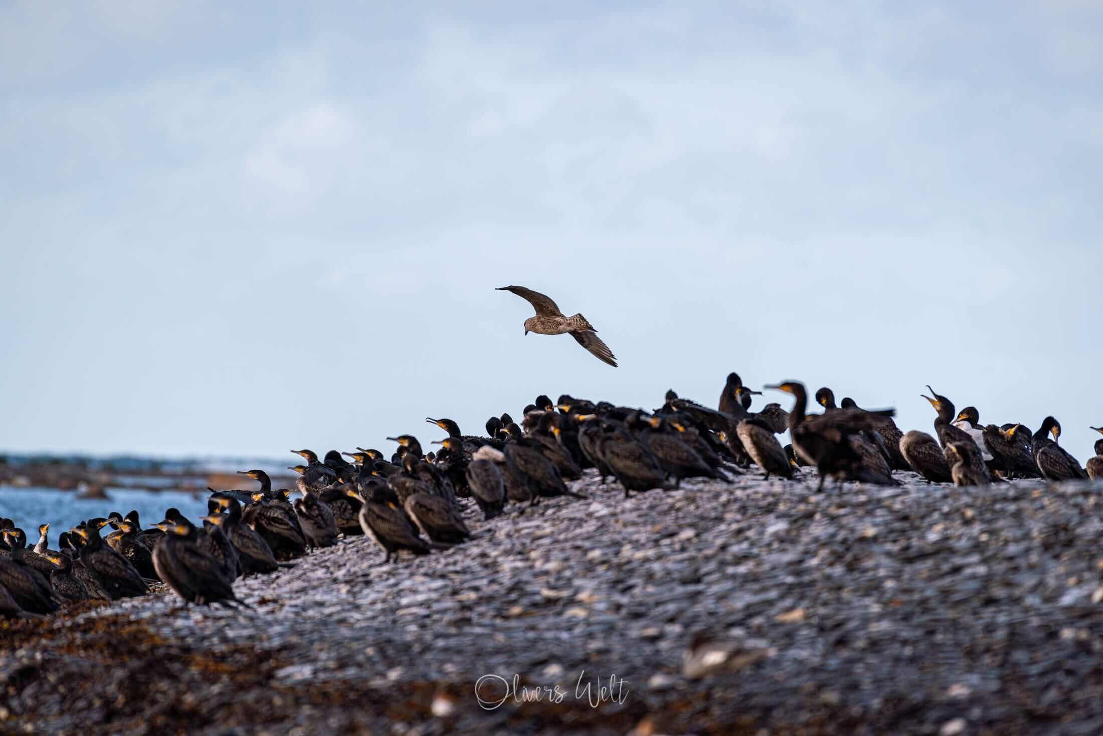 Bild ohne Beschreibung