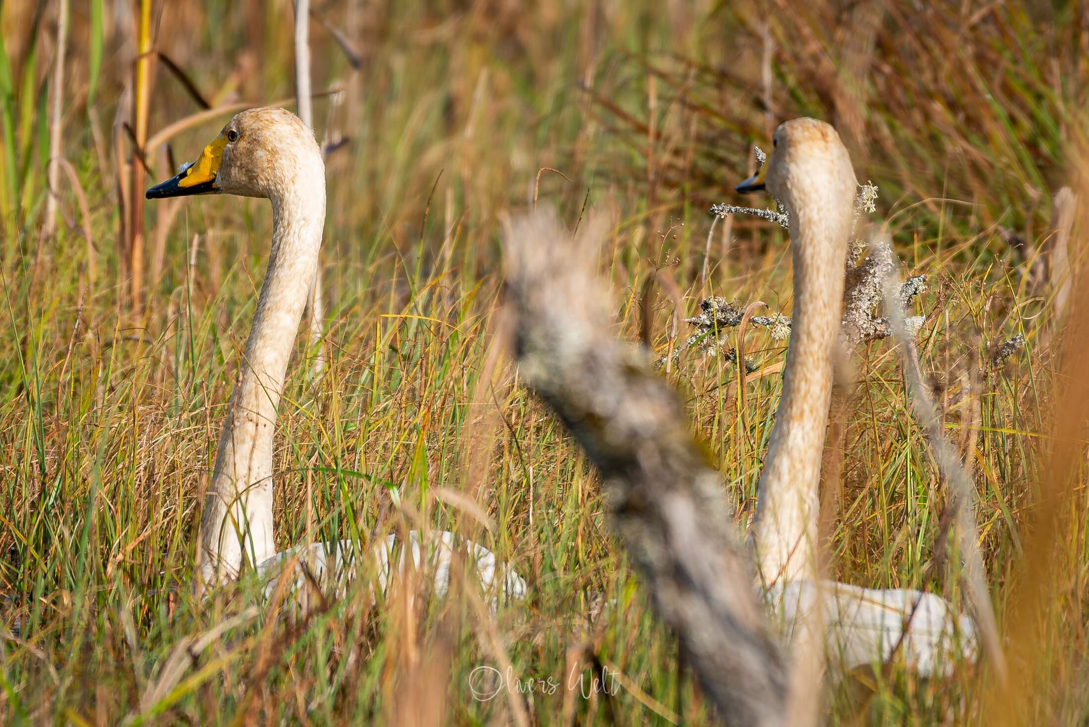 Bild ohne Beschreibung Bild ohne Beschreibung