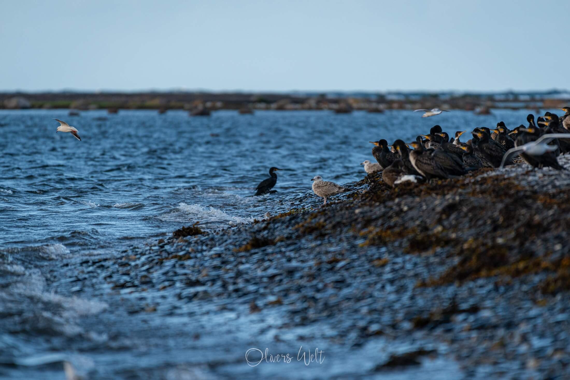 Bild ohne Beschreibung