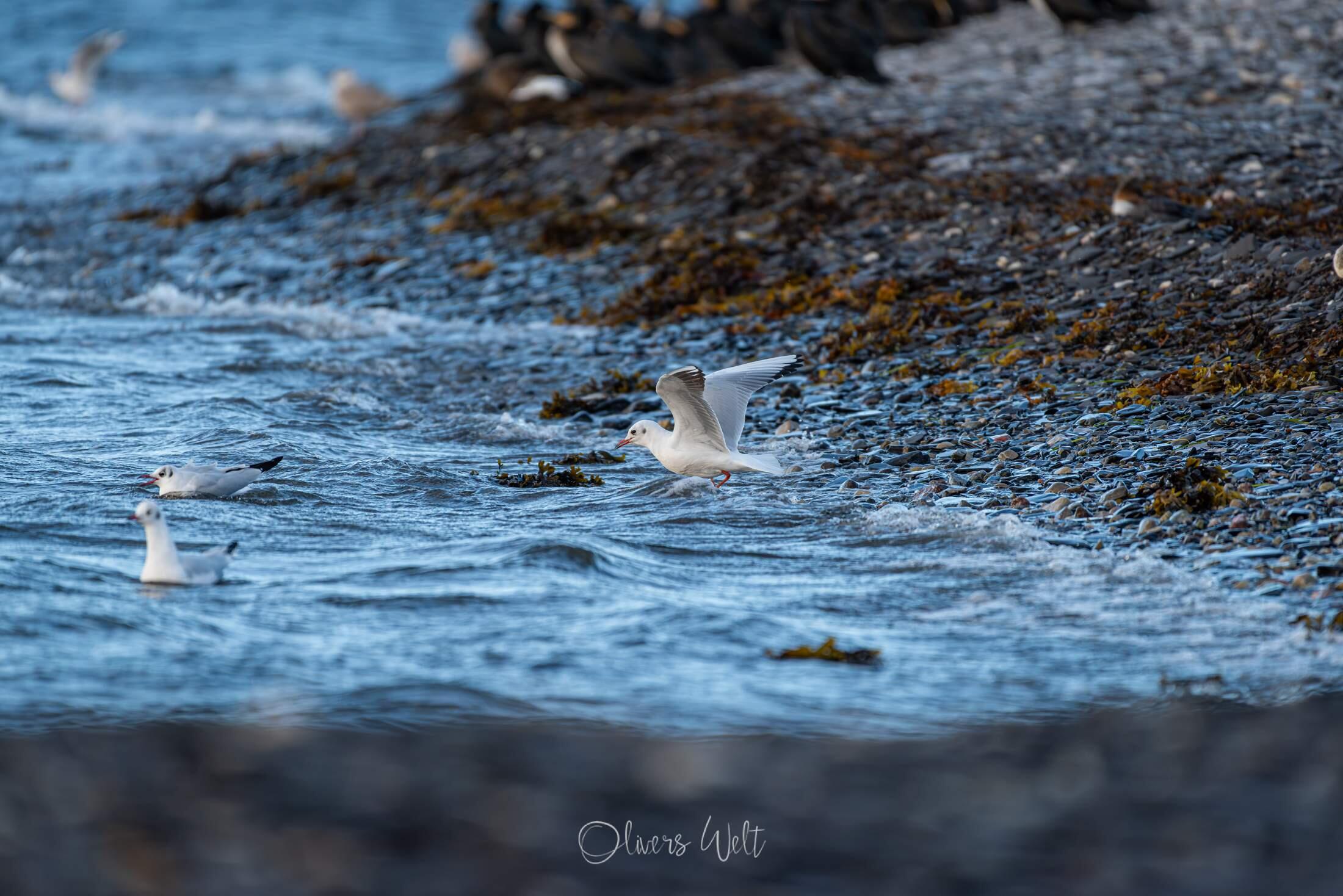 Bild ohne Beschreibung