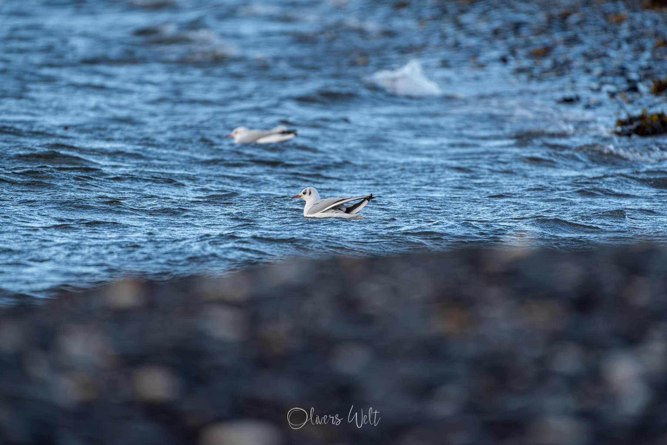 Bild ohne Beschreibung