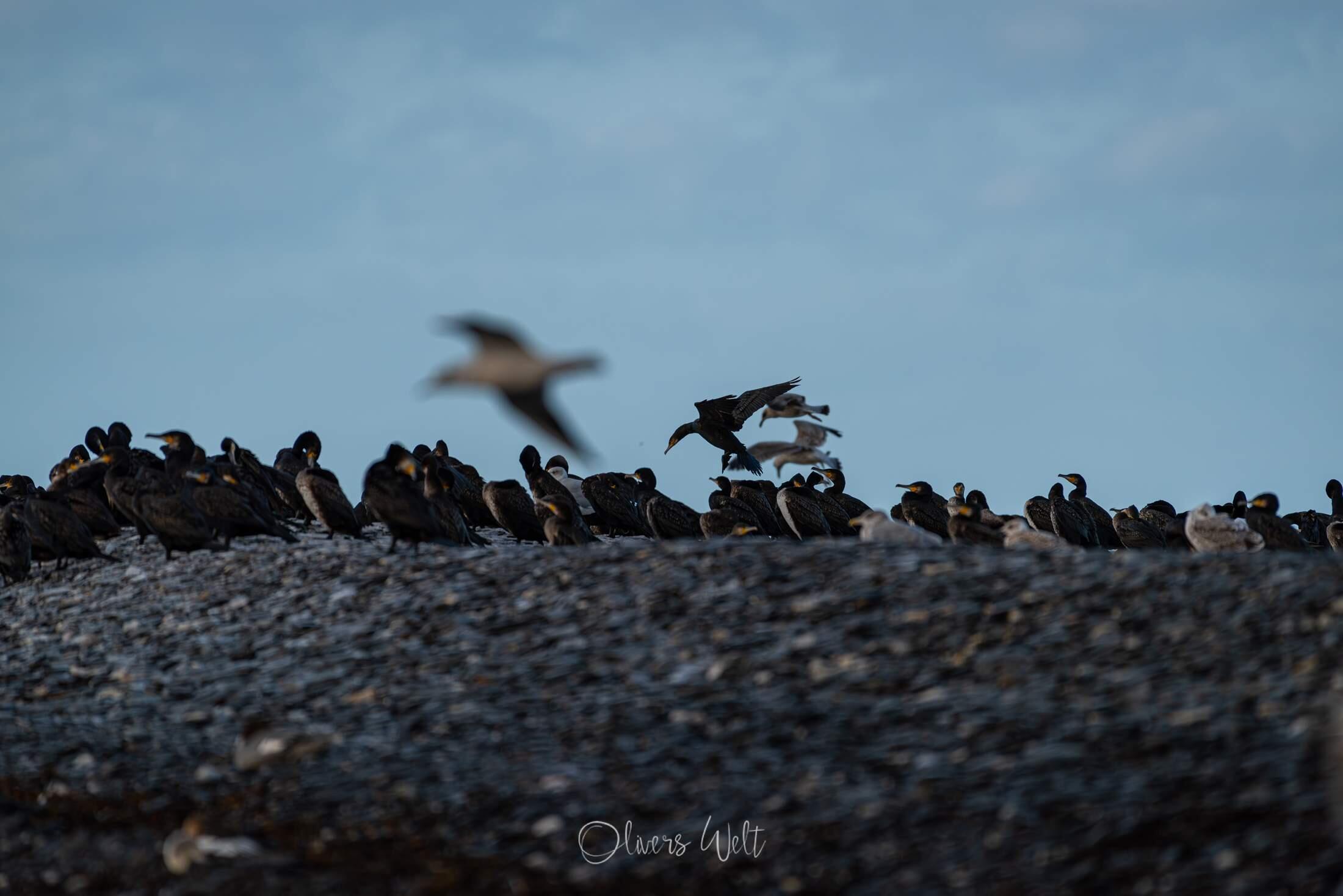 Bild ohne Beschreibung