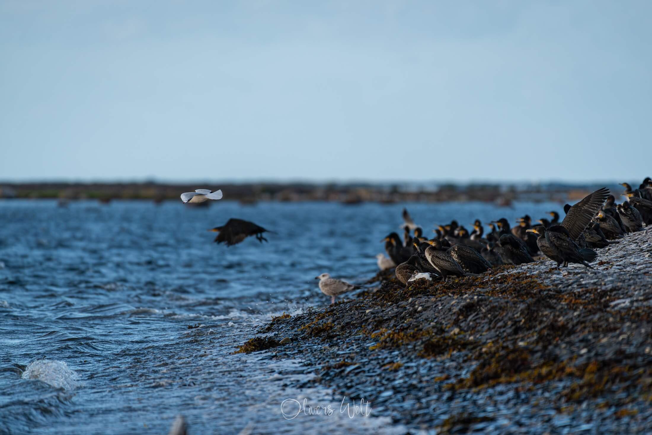 Bild ohne Beschreibung
