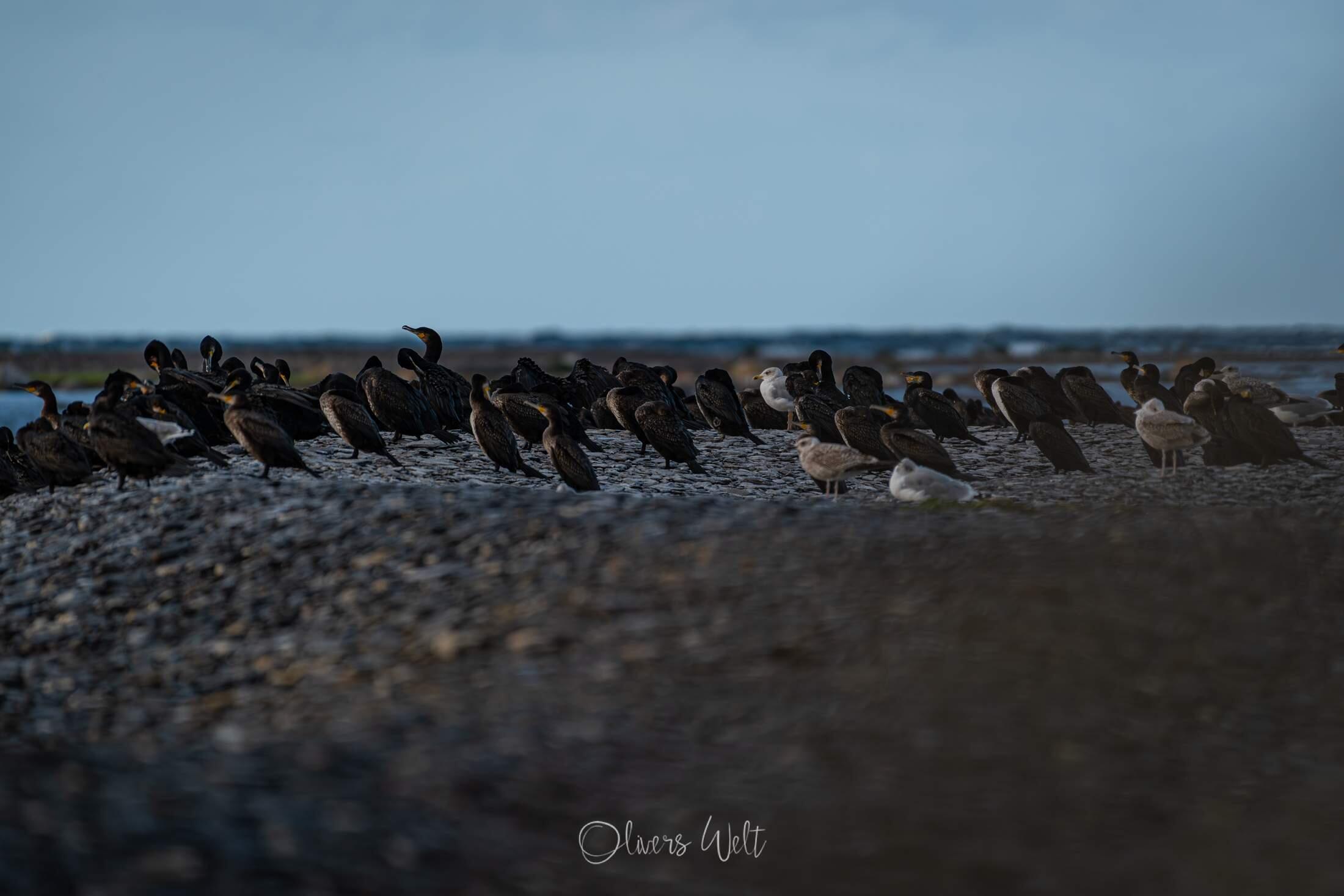 Bild ohne Beschreibung