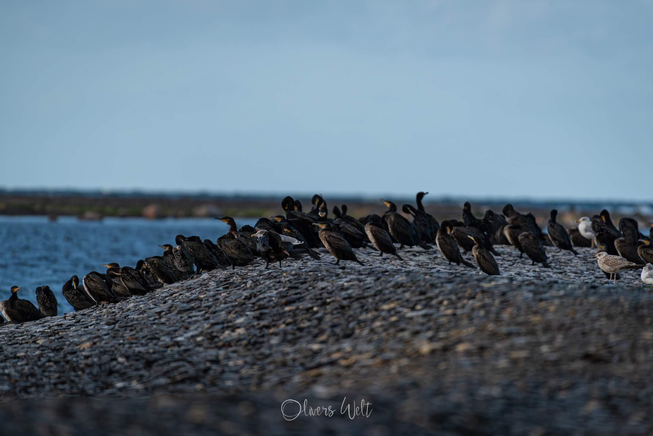 Bild ohne Beschreibung
