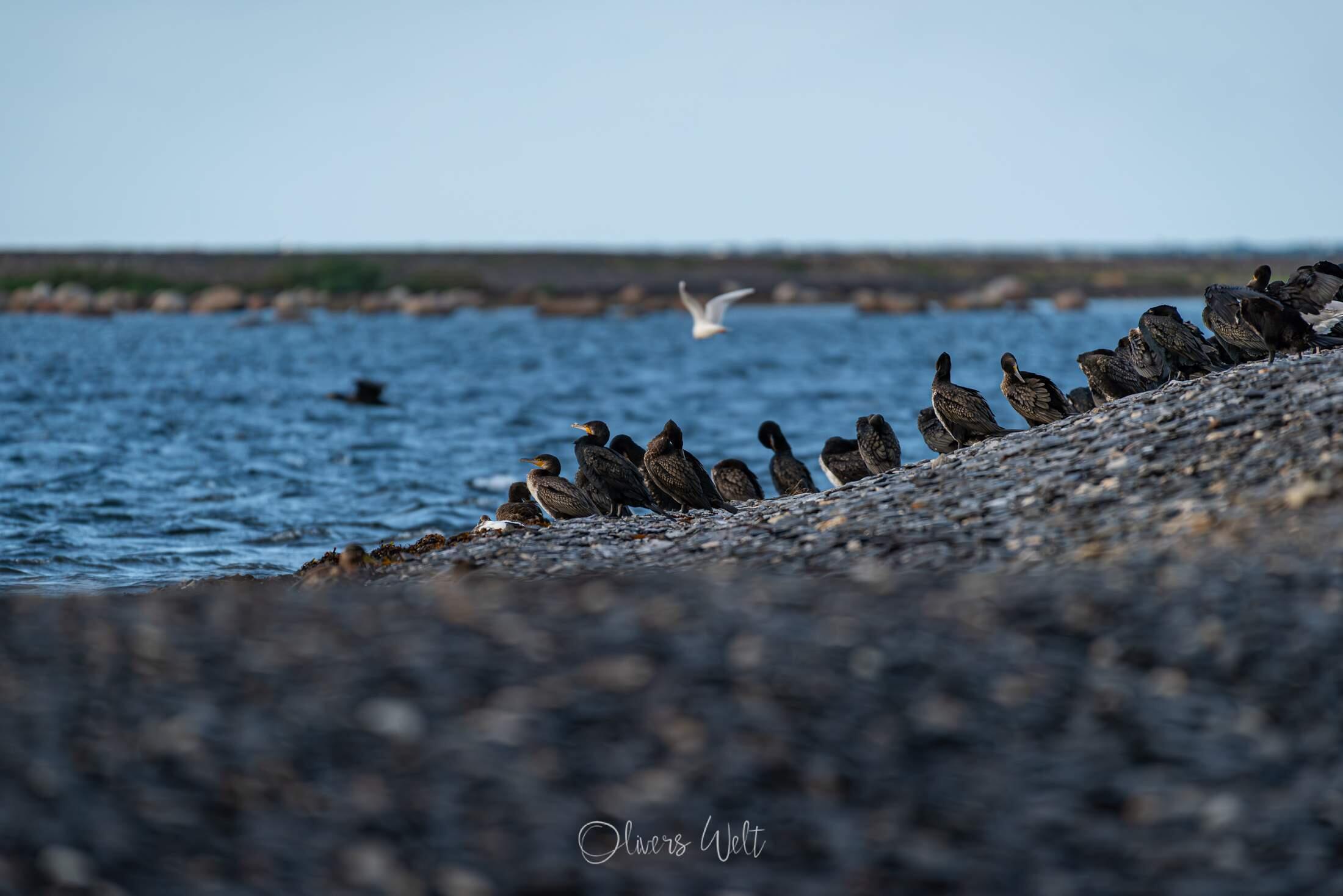 Bild ohne Beschreibung