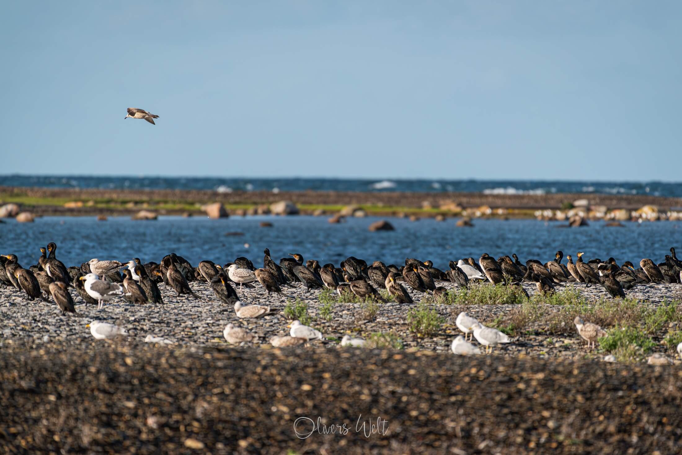 Bild ohne Beschreibung