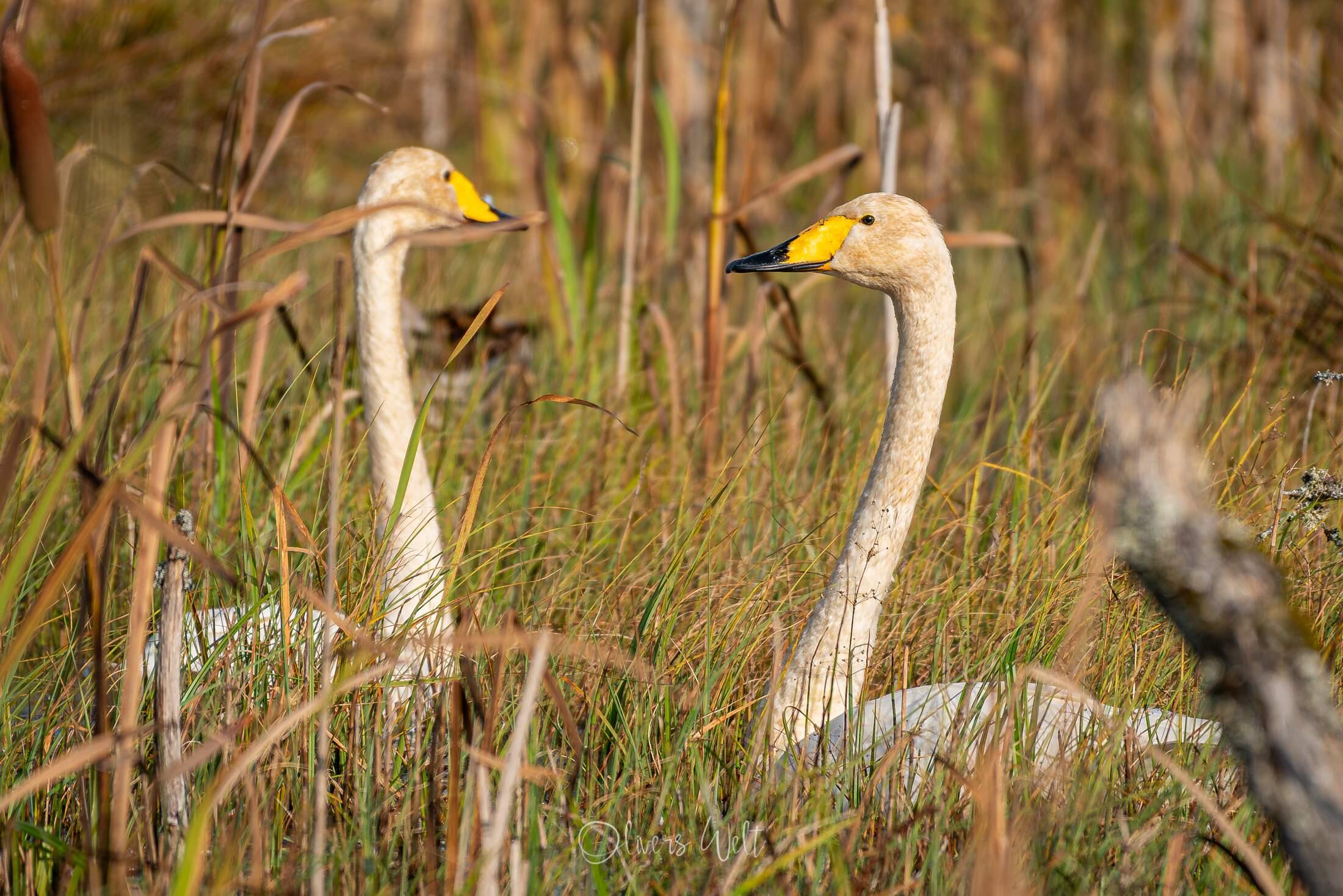 Bild ohne Beschreibung Bild ohne Beschreibung