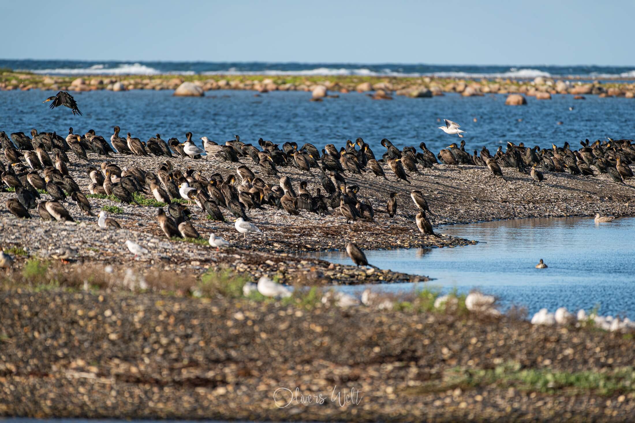 Bild ohne Beschreibung