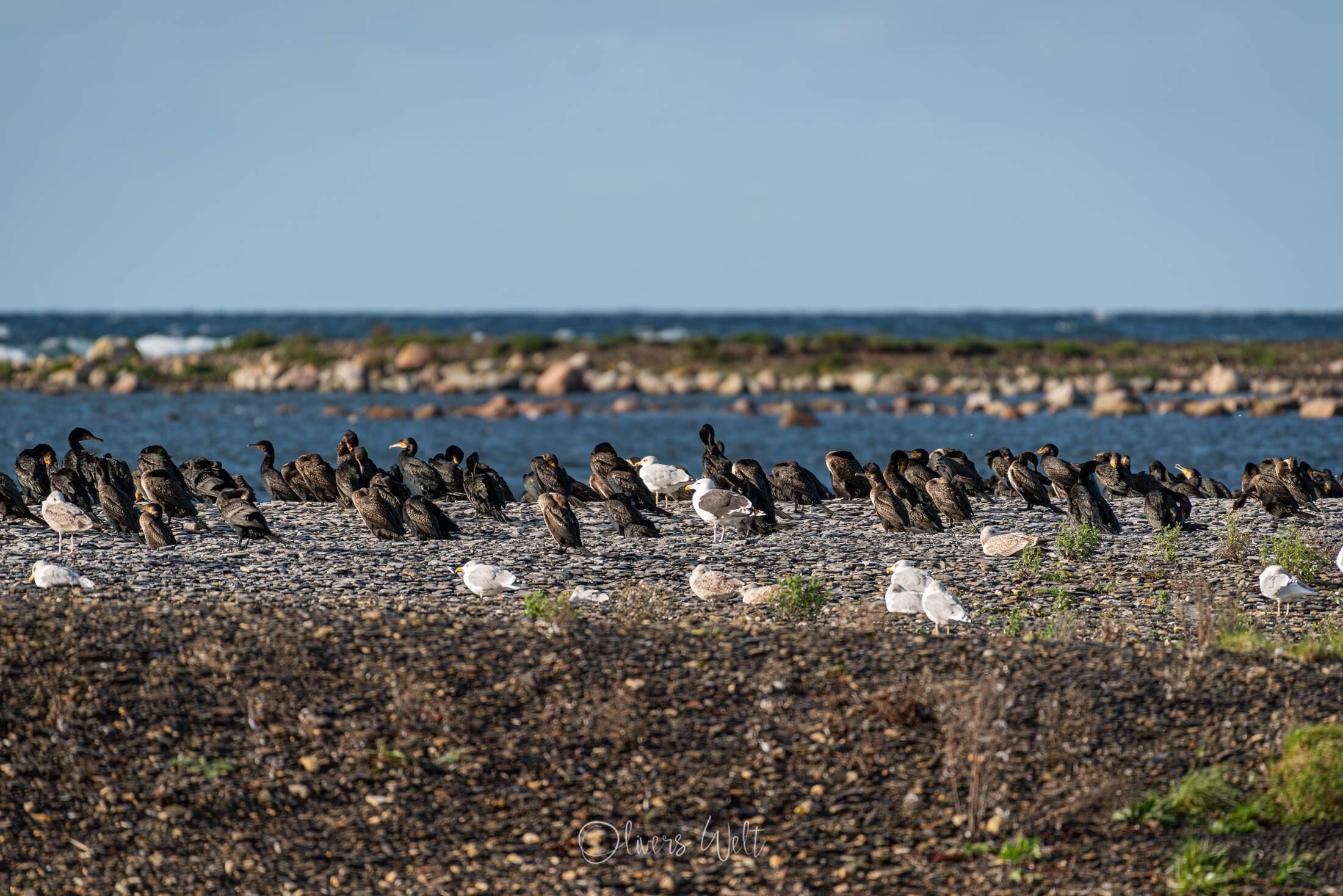 Bild ohne Beschreibung