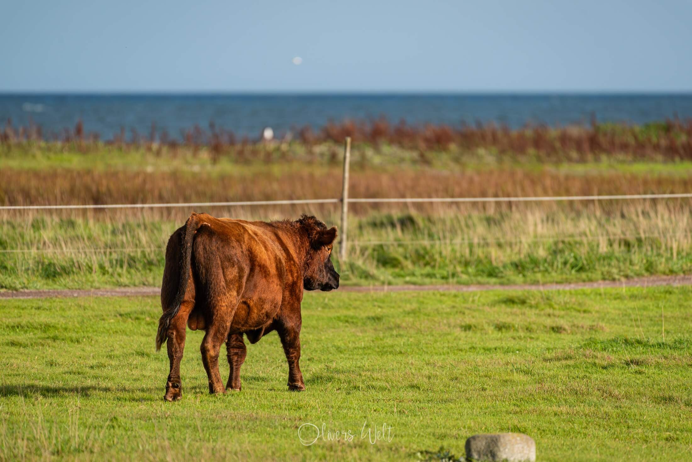 Bild ohne Beschreibung