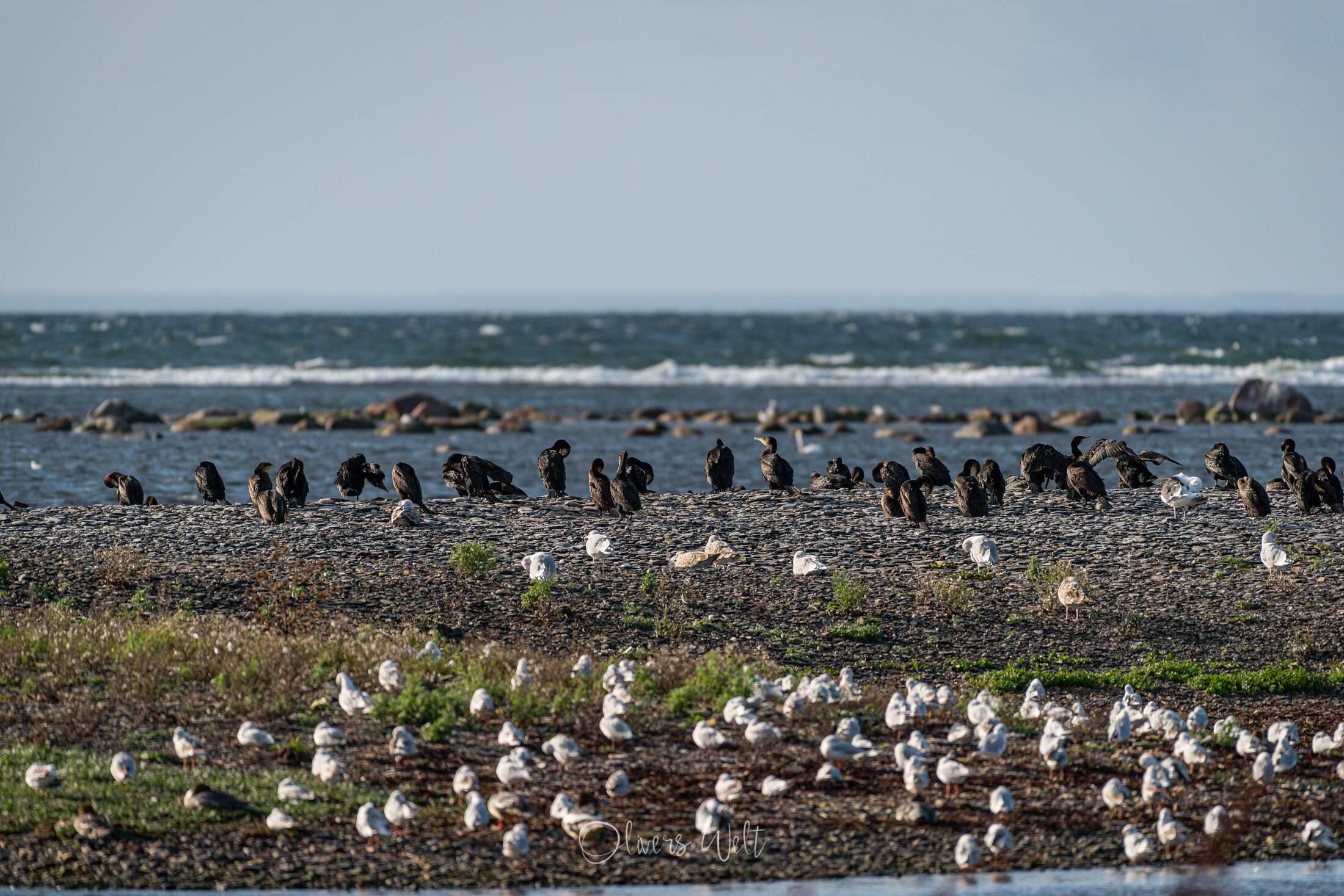 Bild ohne Beschreibung