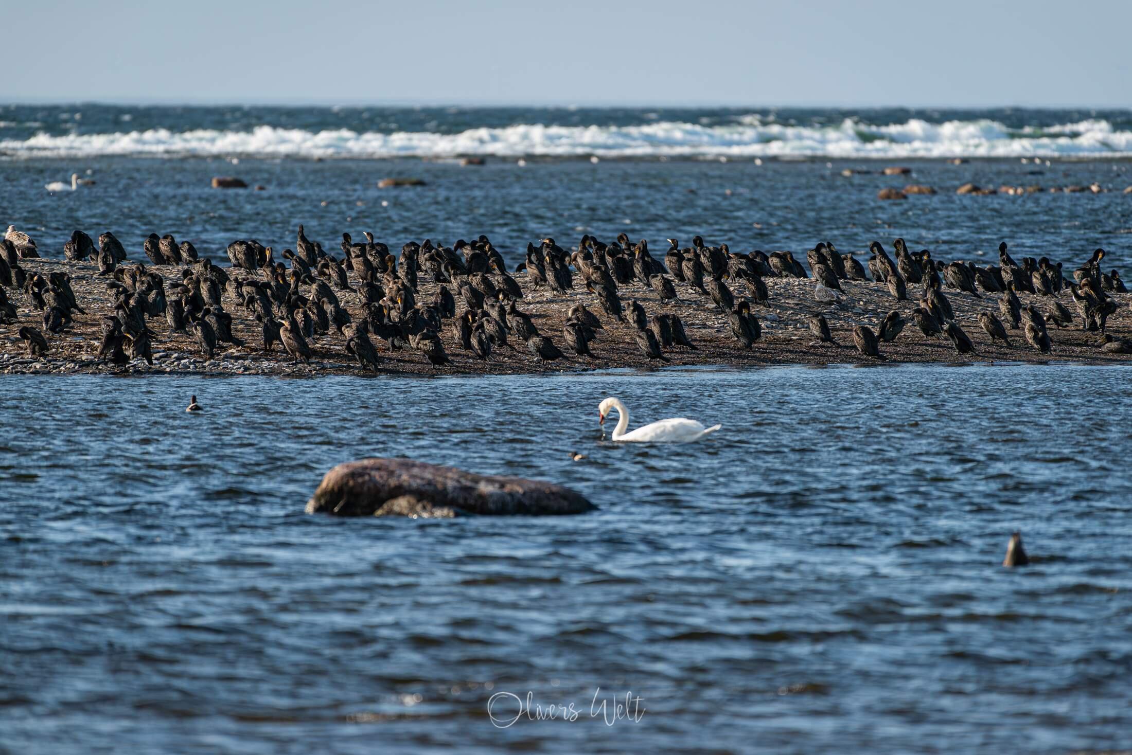 Bild ohne Beschreibung