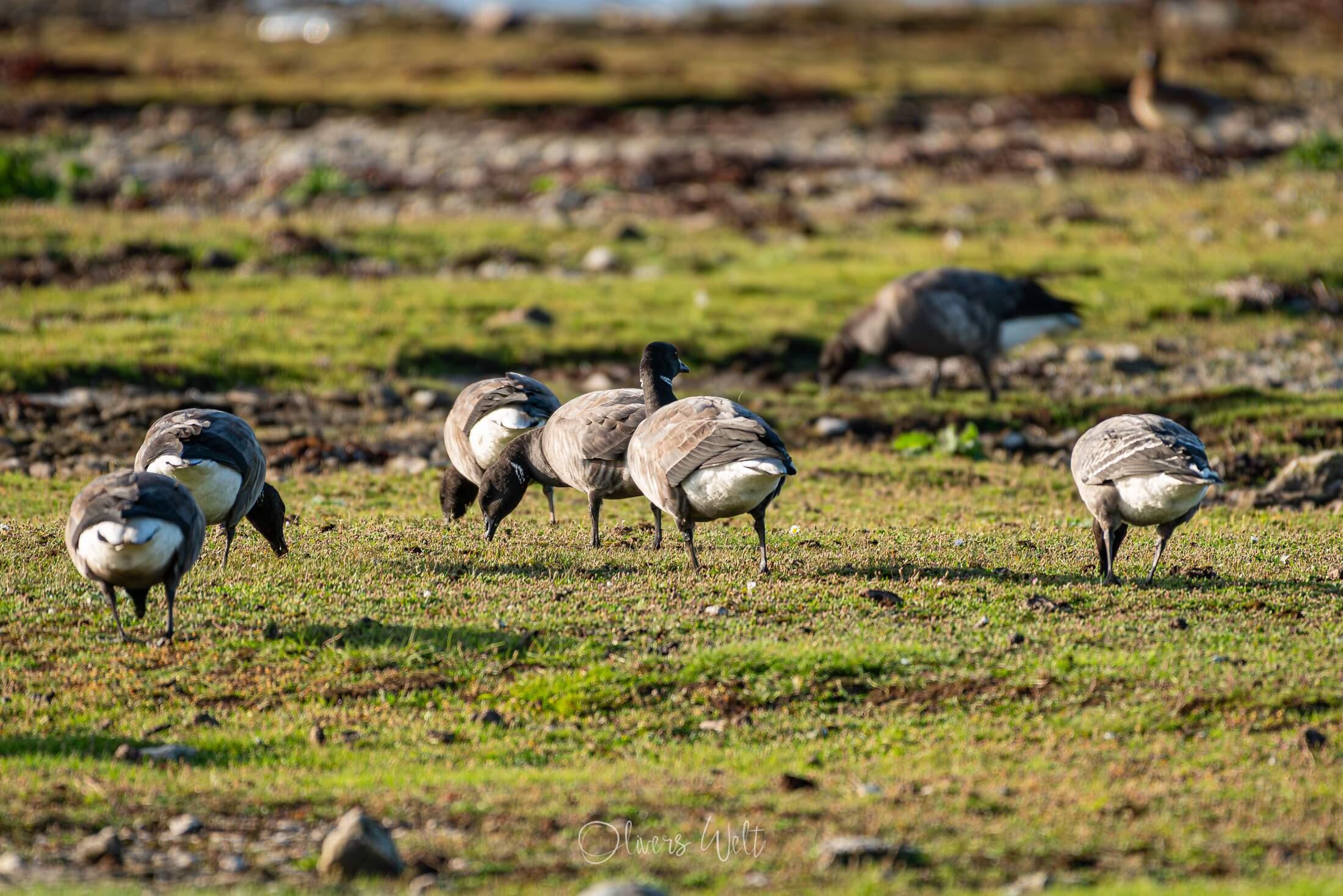 Bild ohne Beschreibung