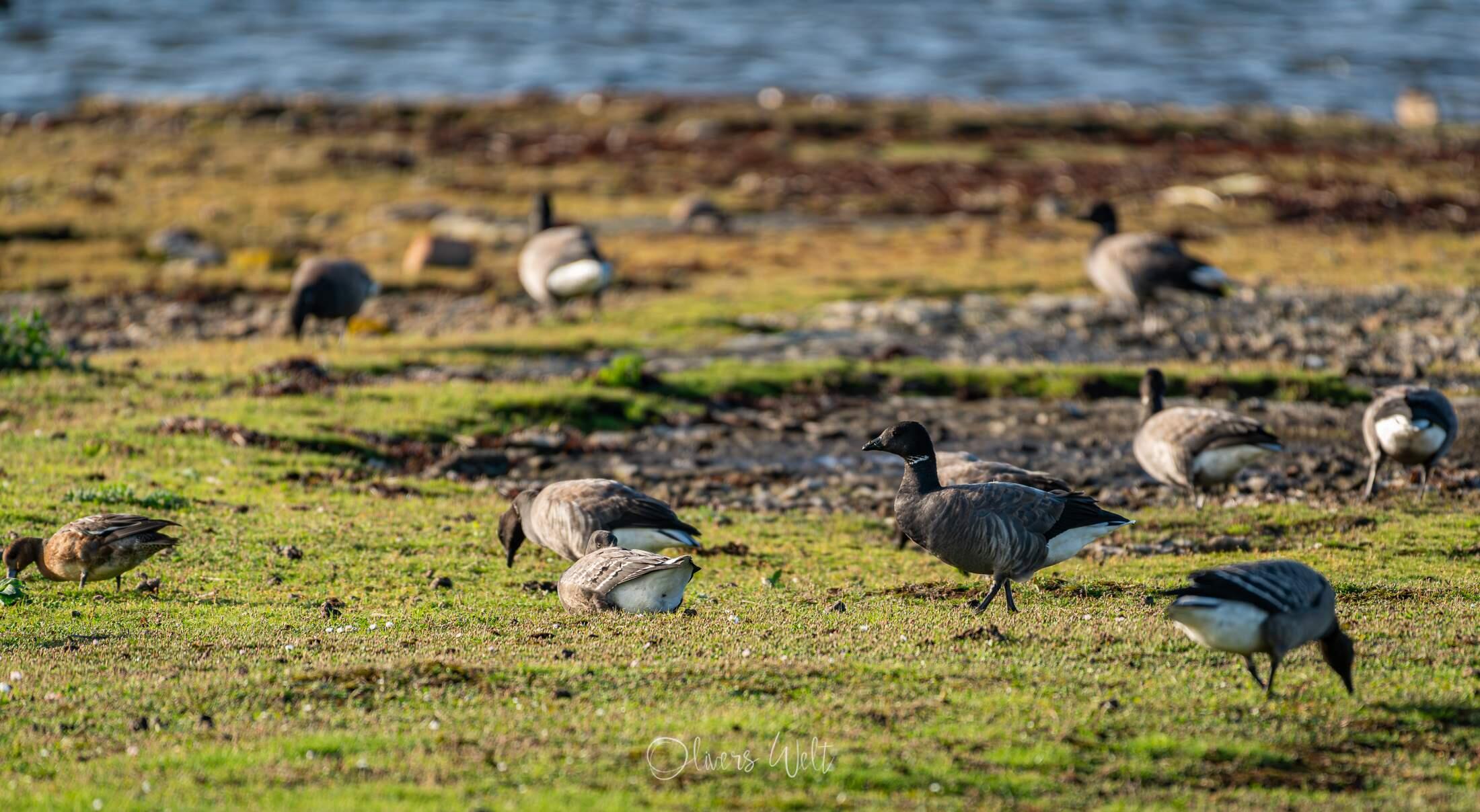 Bild ohne Beschreibung