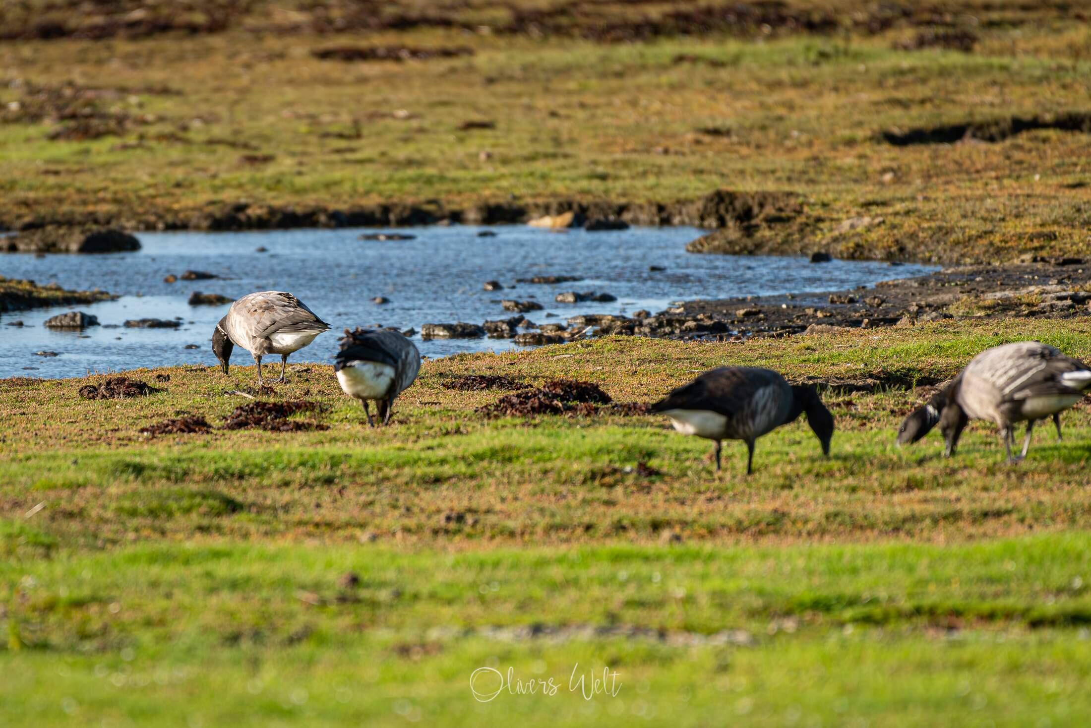 Bild ohne Beschreibung