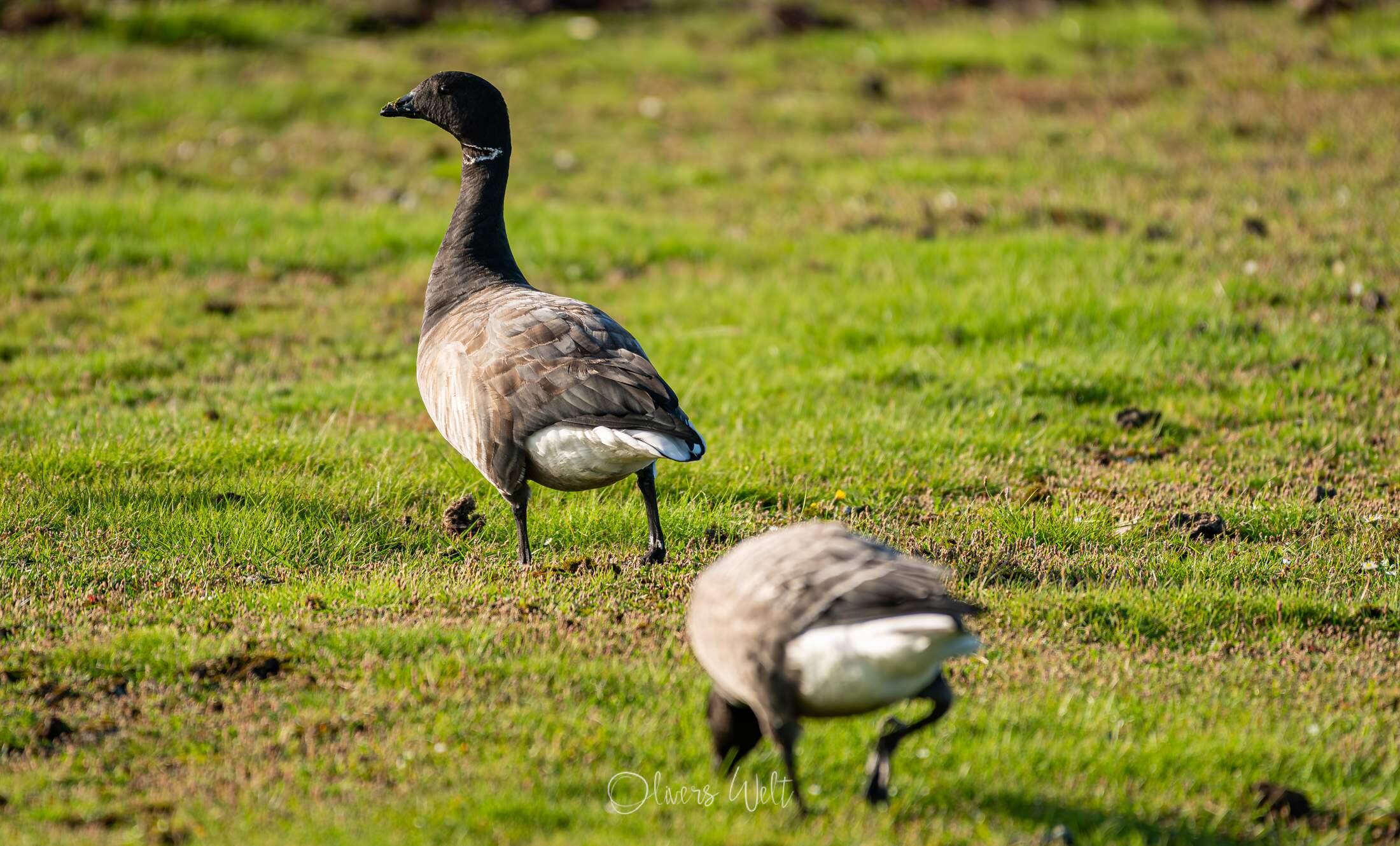 Bild ohne Beschreibung