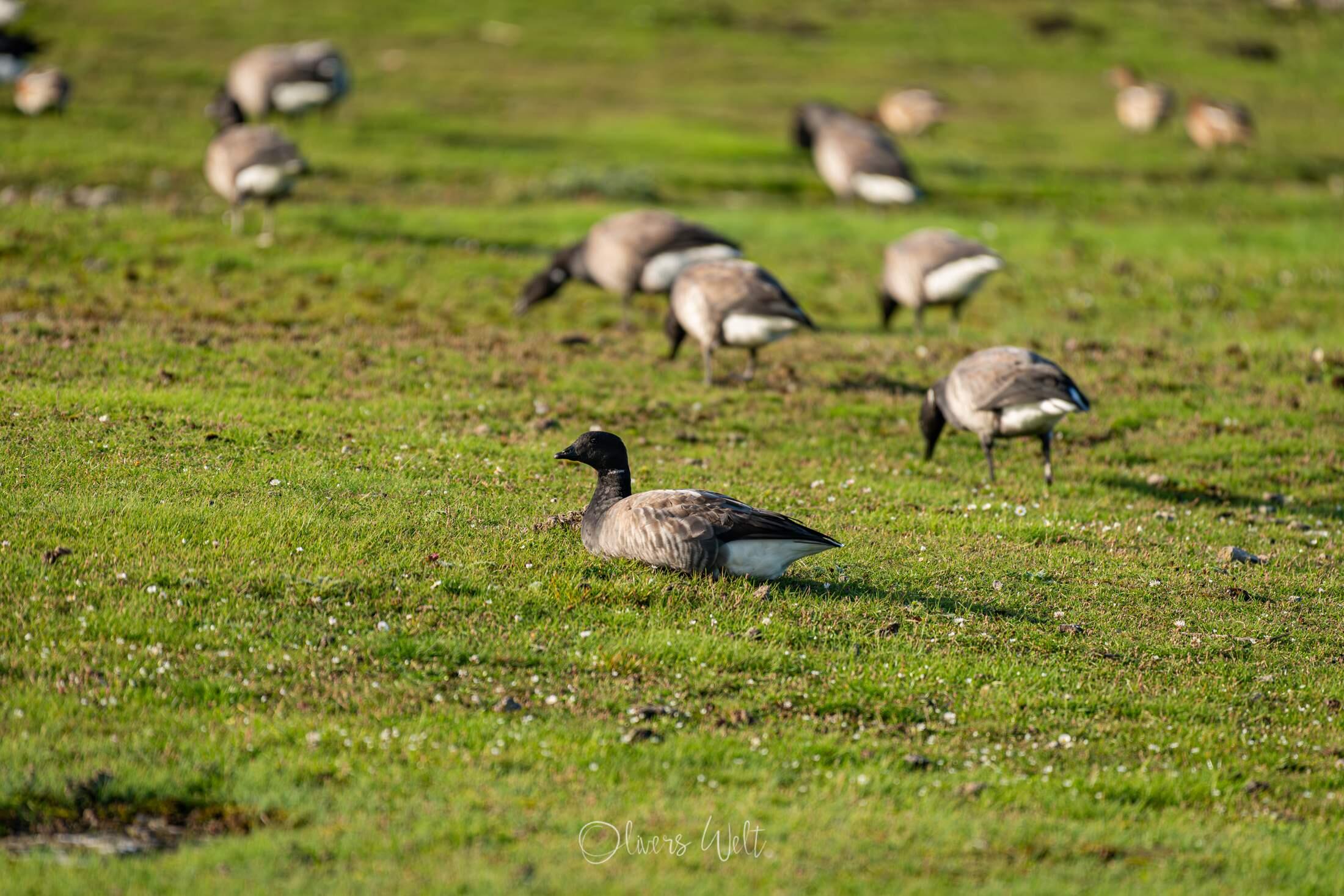 Bild ohne Beschreibung