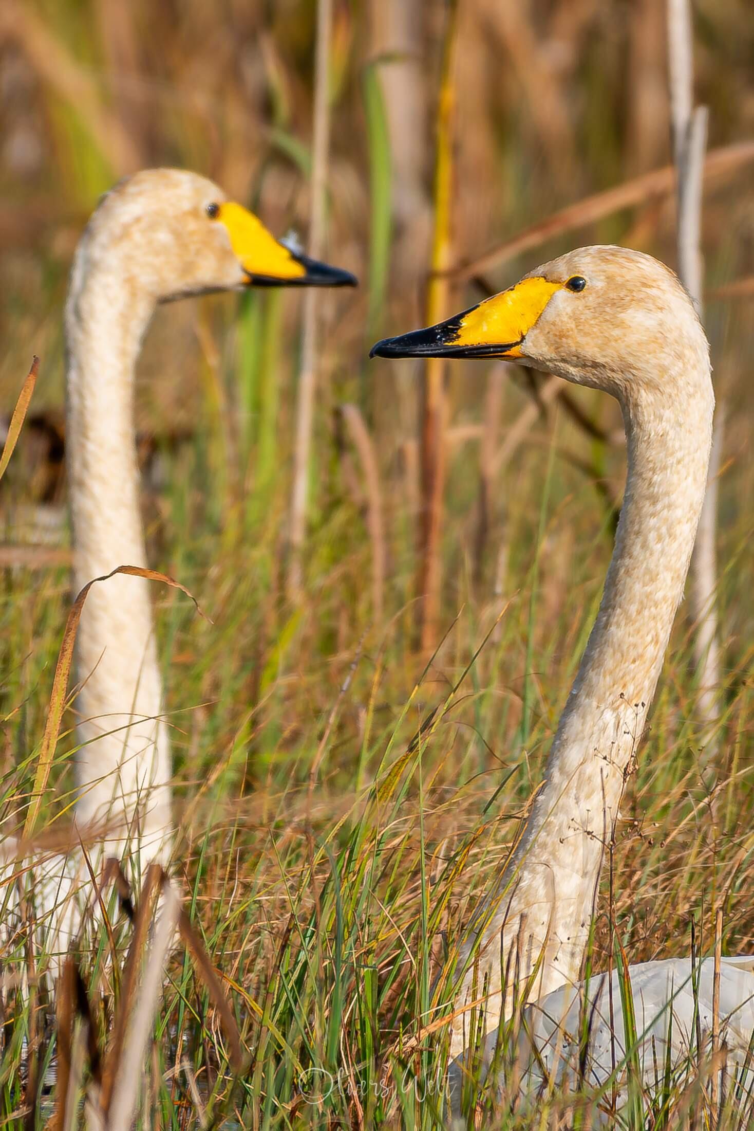 Bild ohne Beschreibung Bild ohne Beschreibung
