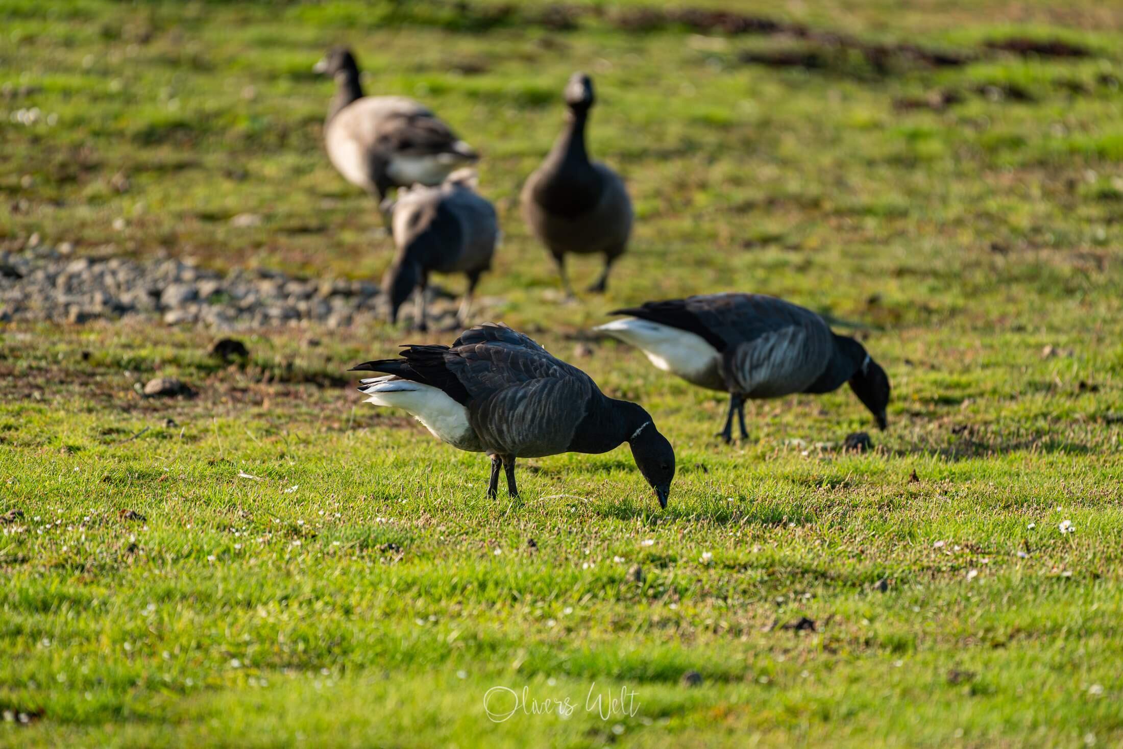 Bild ohne Beschreibung