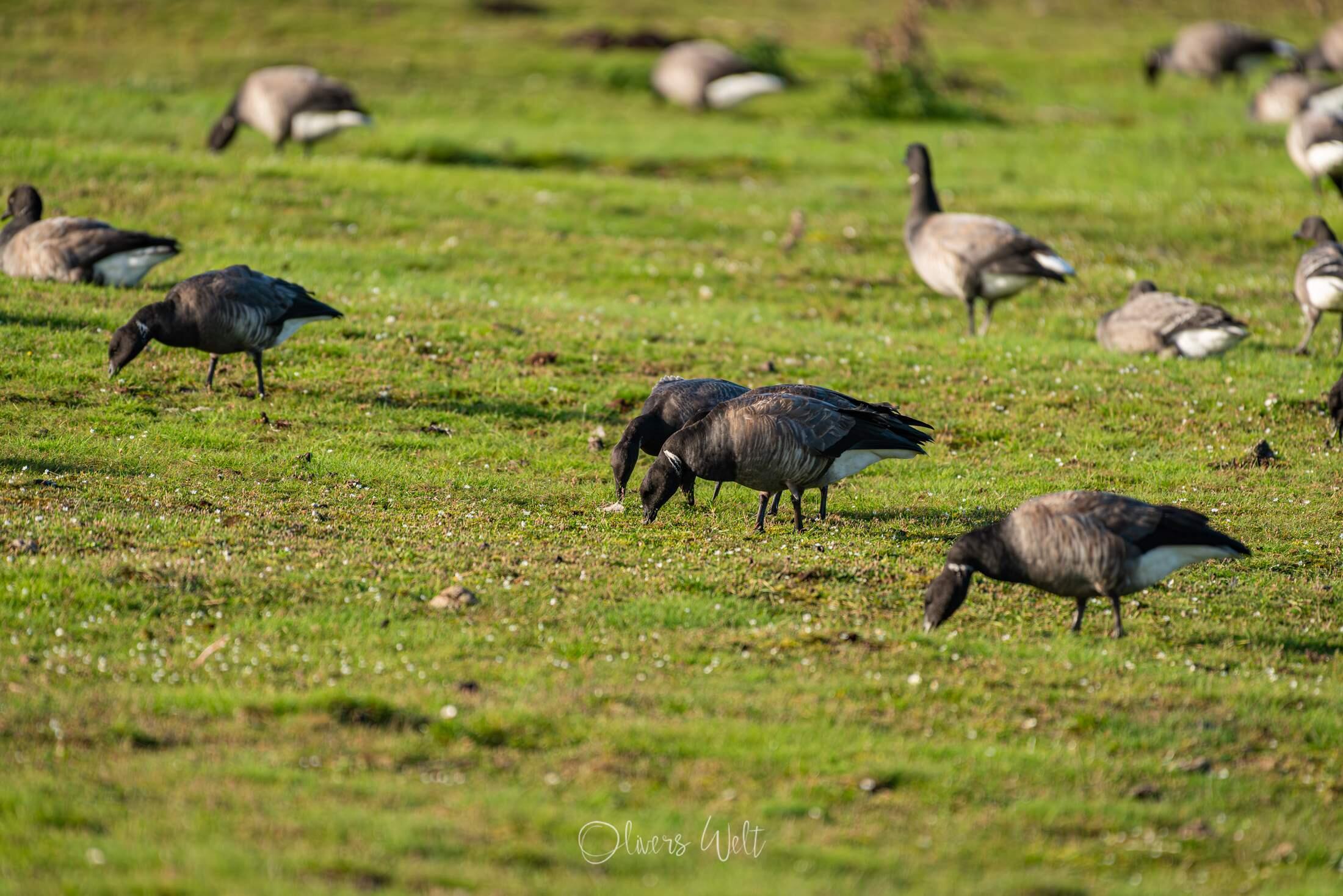 Bild ohne Beschreibung