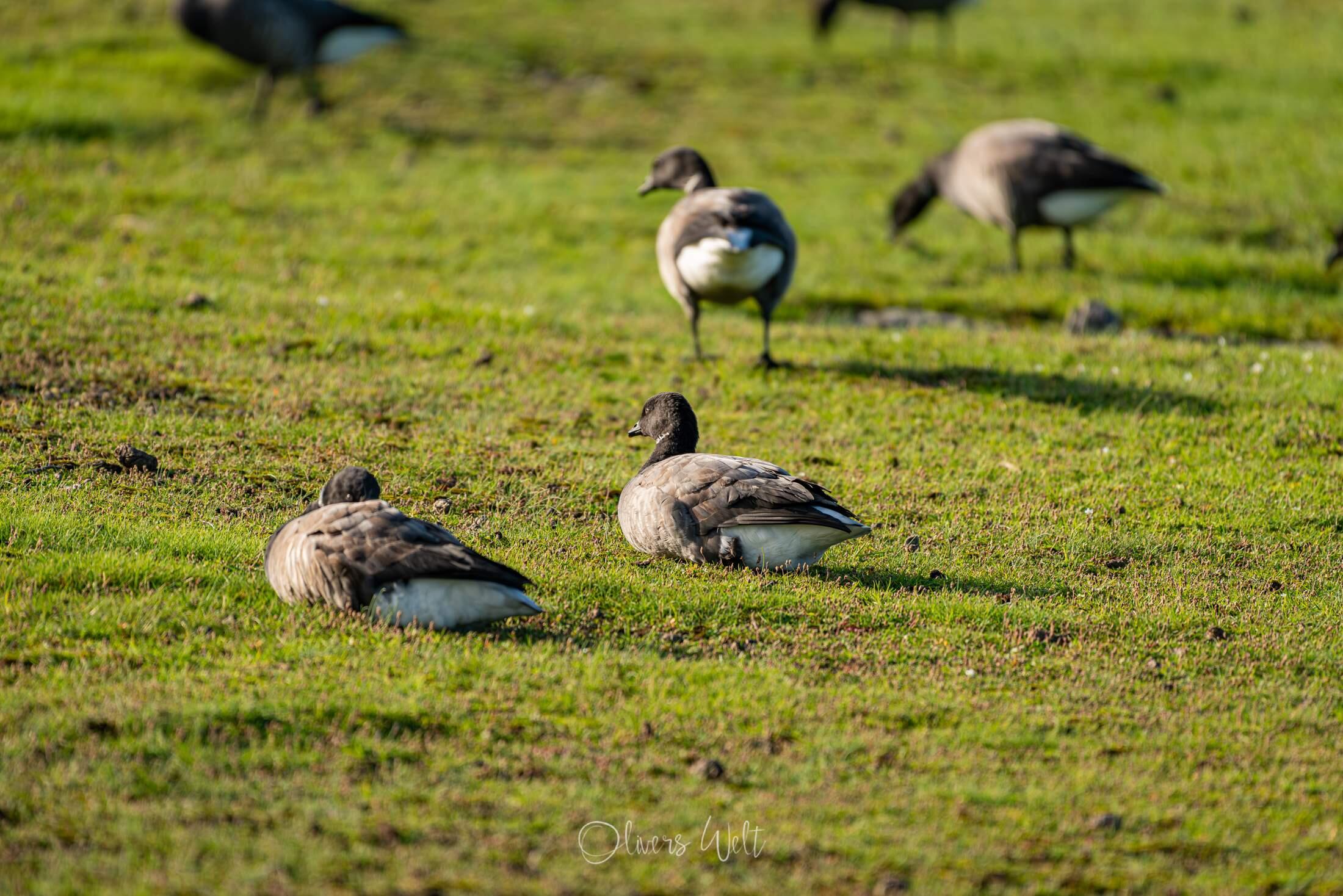 Bild ohne Beschreibung