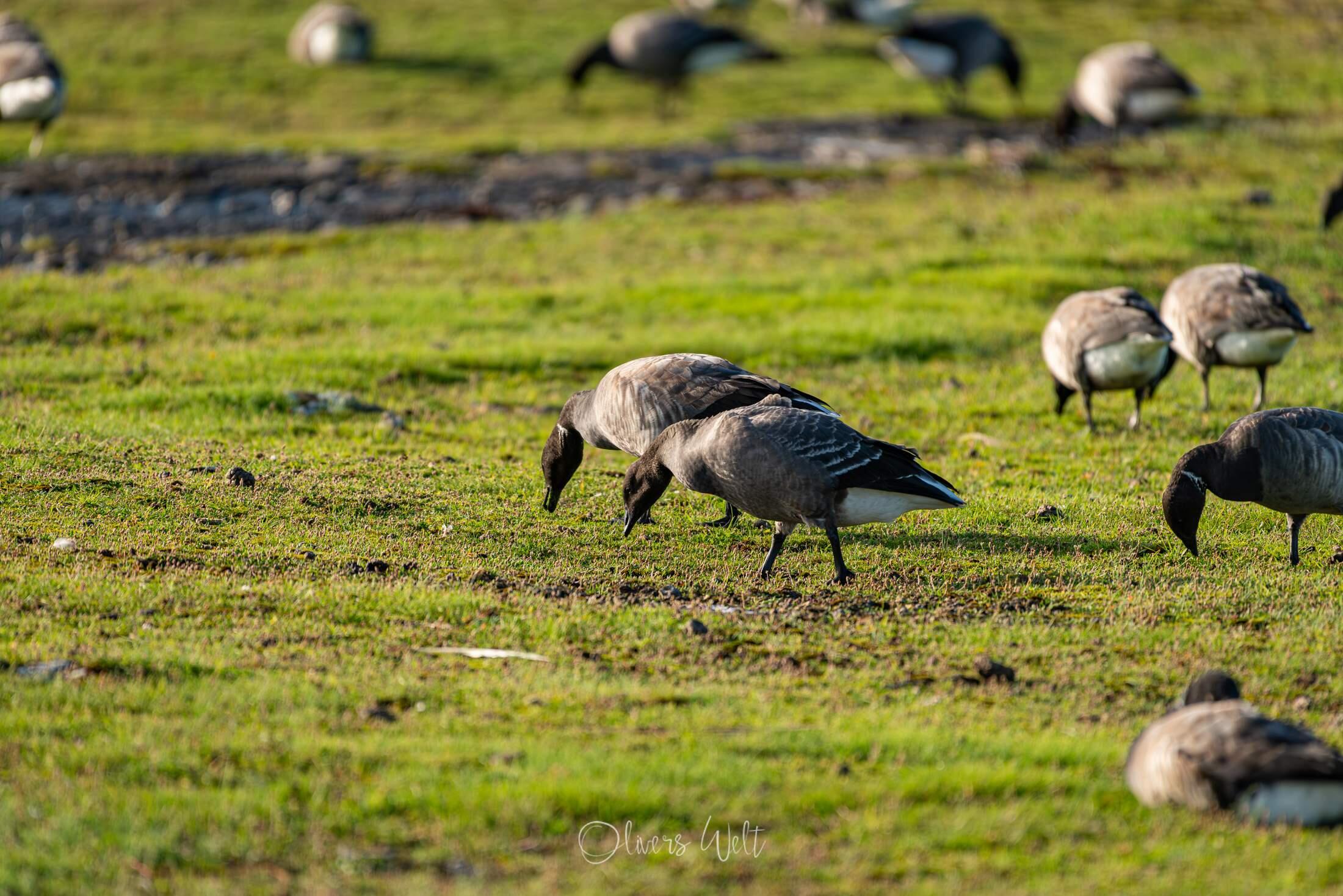 Bild ohne Beschreibung