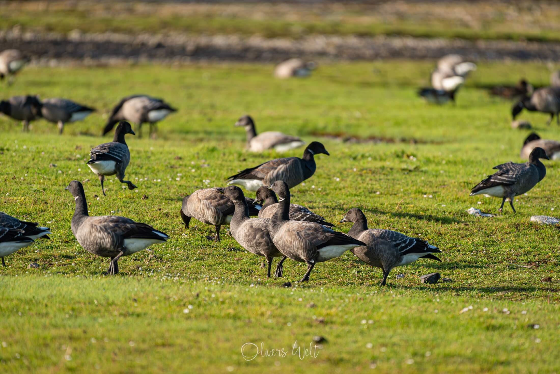 Bild ohne Beschreibung