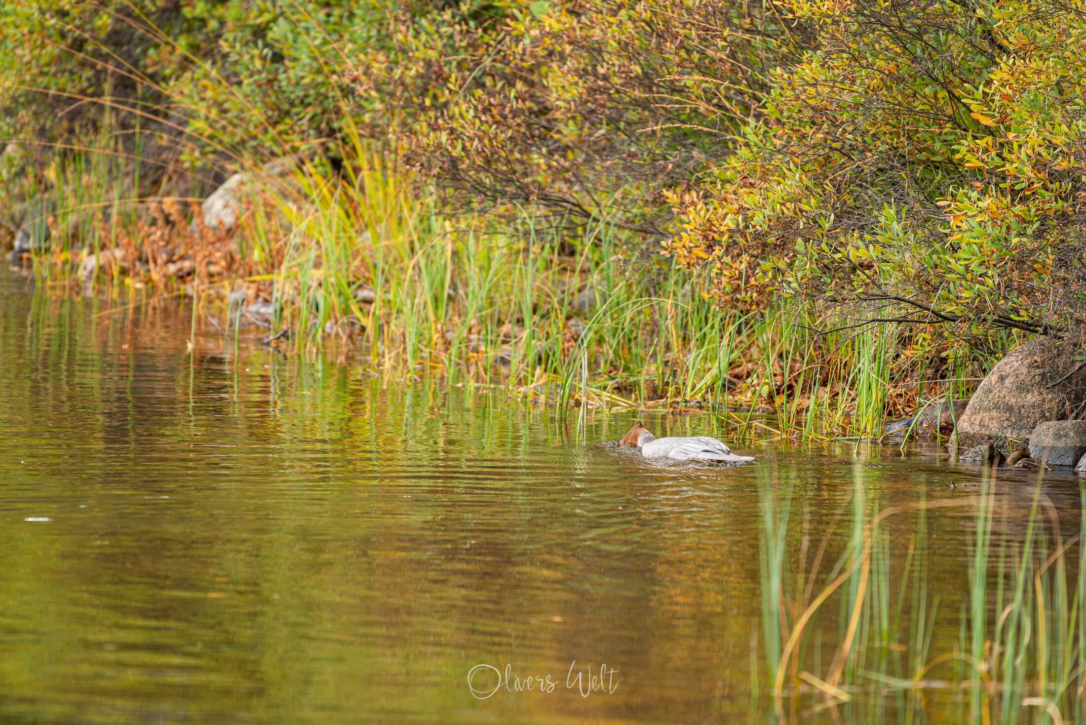Bild ohne Beschreibung