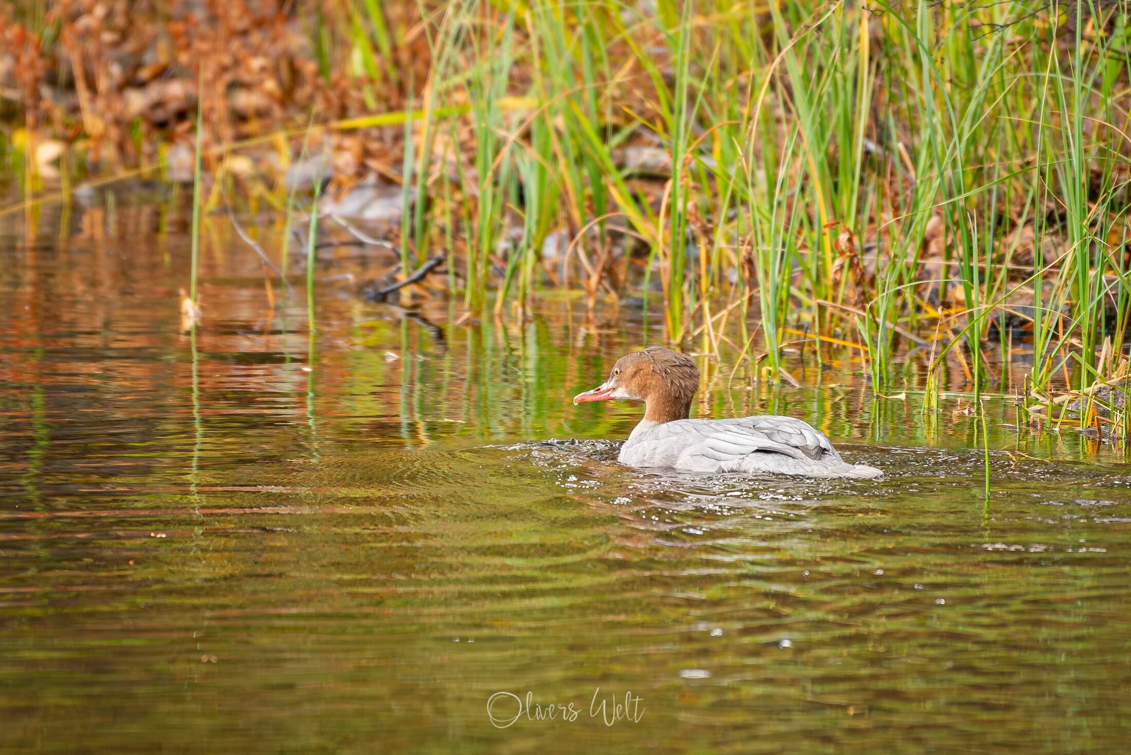 Bild ohne Beschreibung