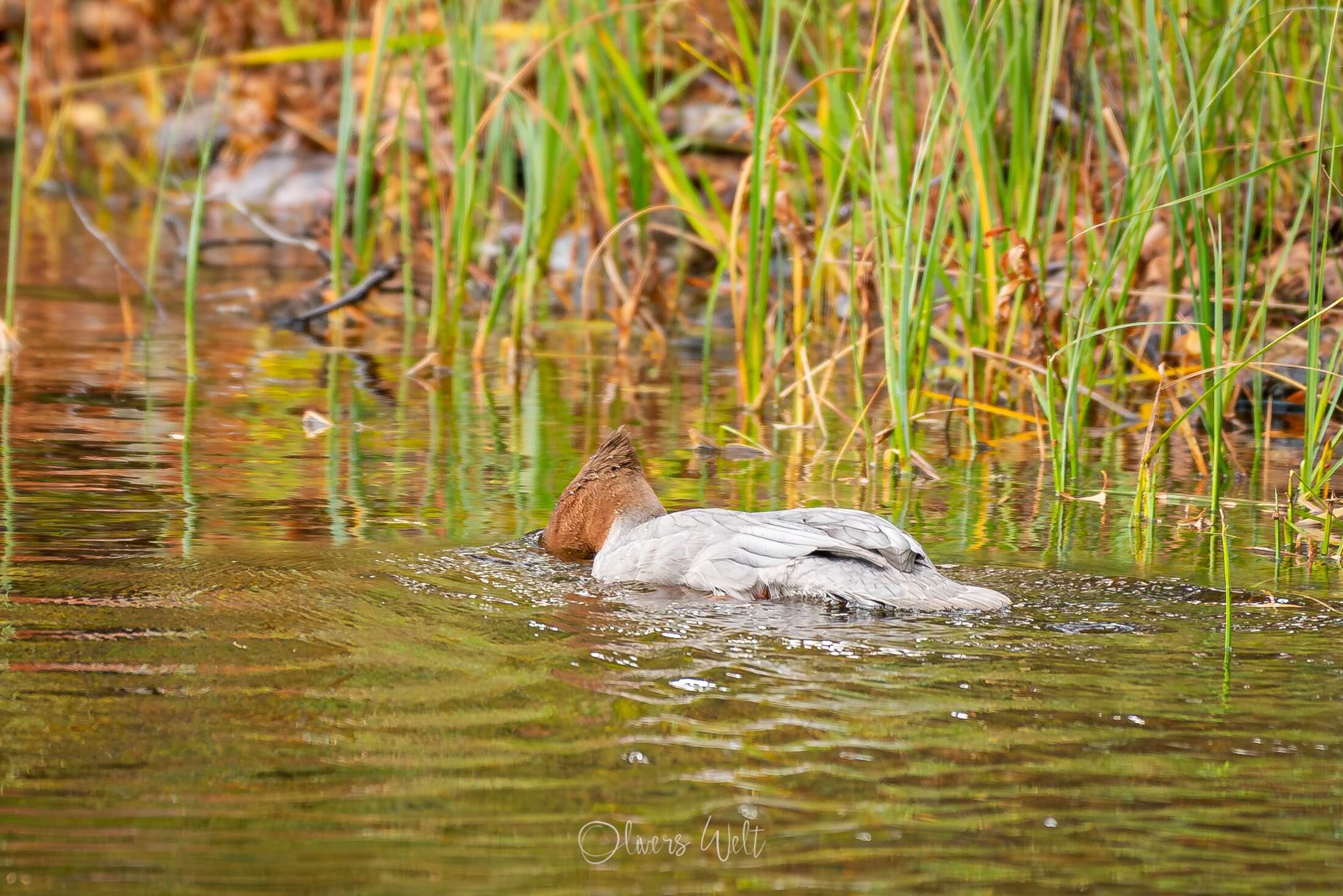 Bild ohne Beschreibung