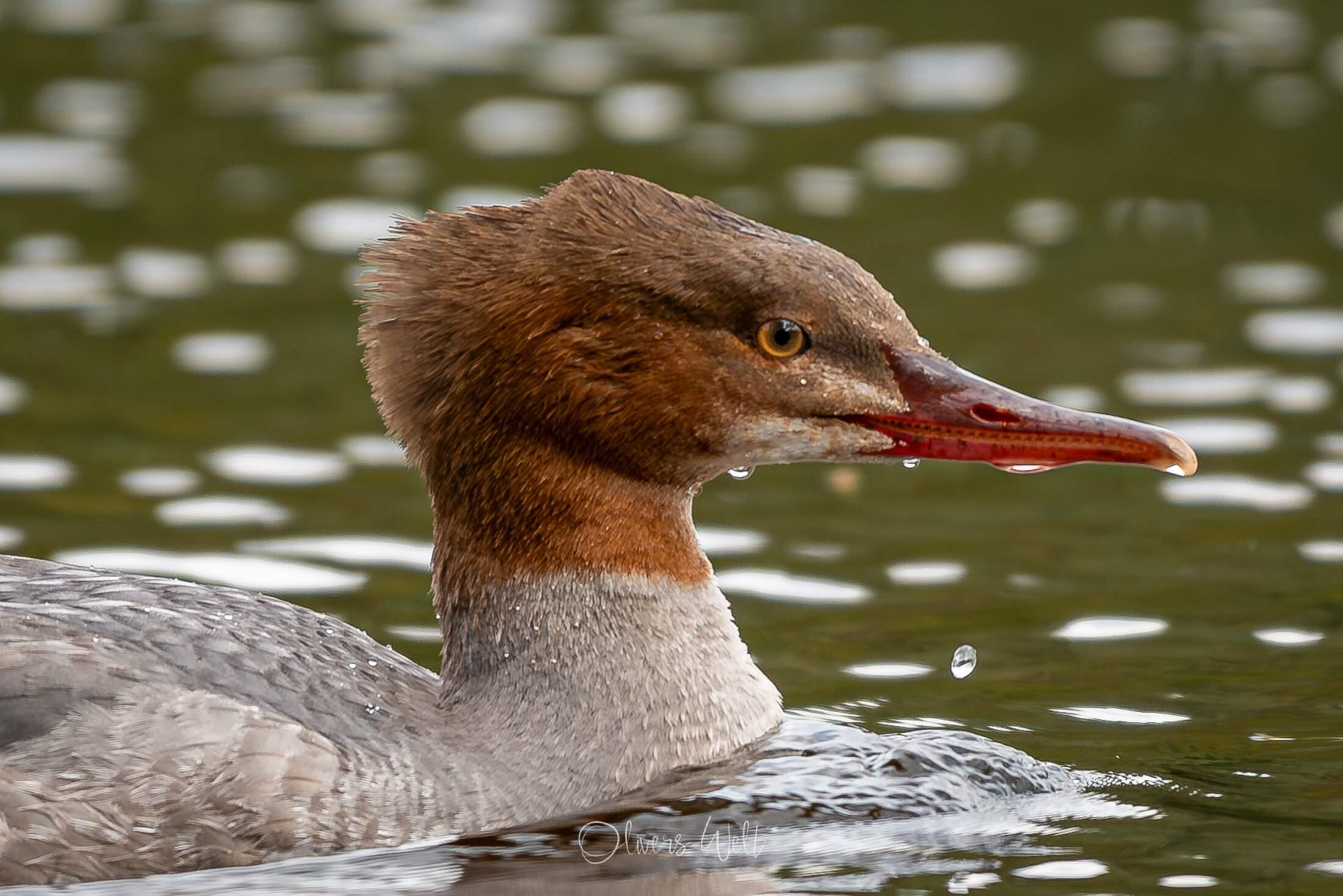 Bild ohne Beschreibung