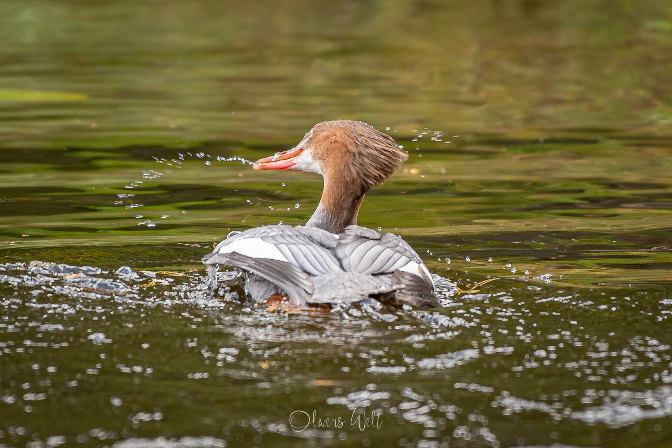 Bild ohne Beschreibung