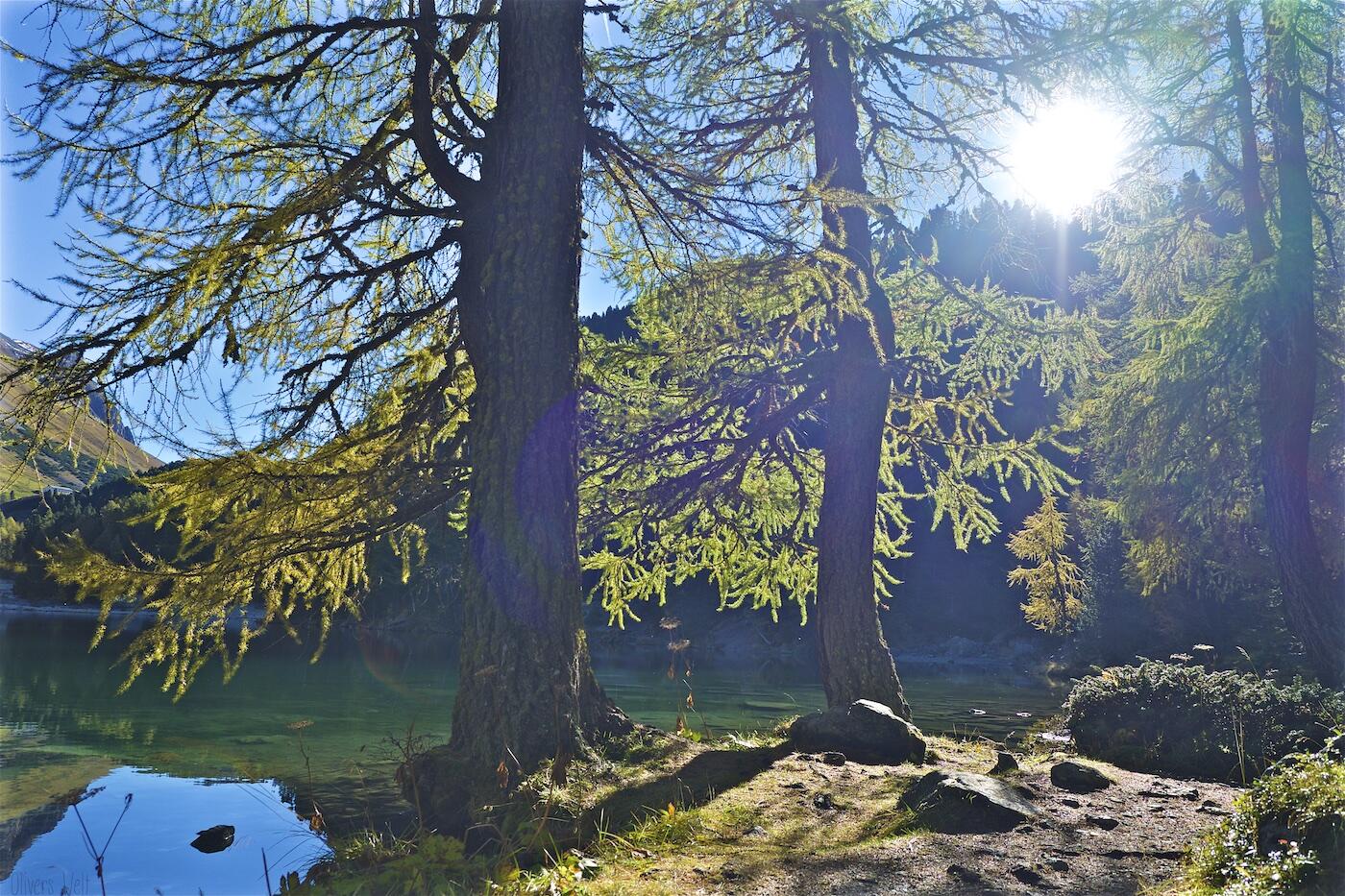palpuogna-see-herbst-schweiz-alpen-5