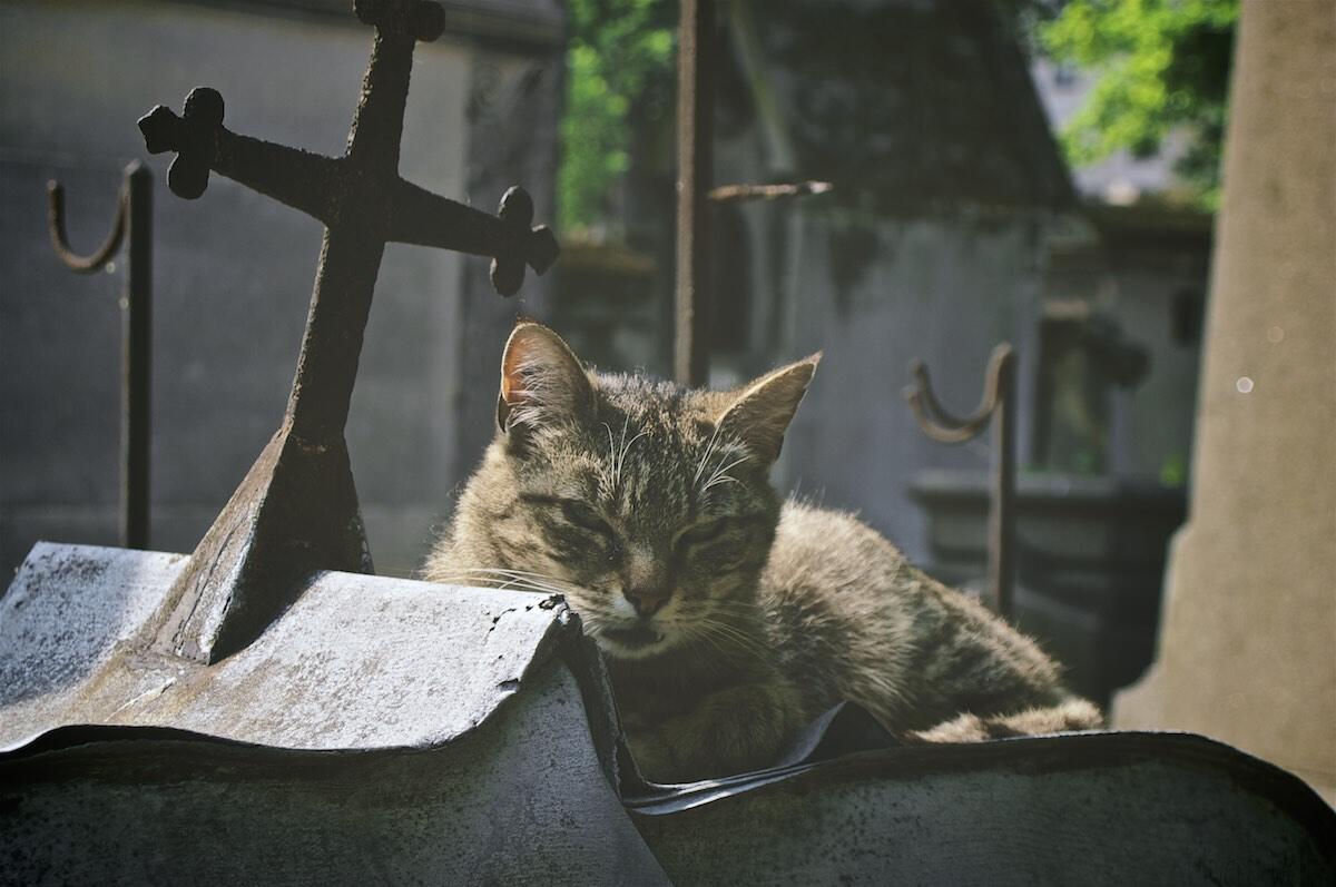 Bild ohne Beschreibung Bild ohne Beschreibung