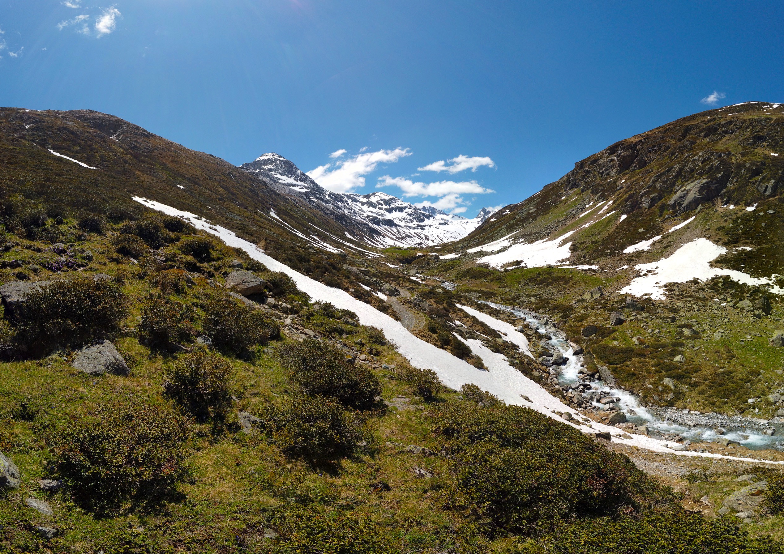 Bild ohne Beschreibung