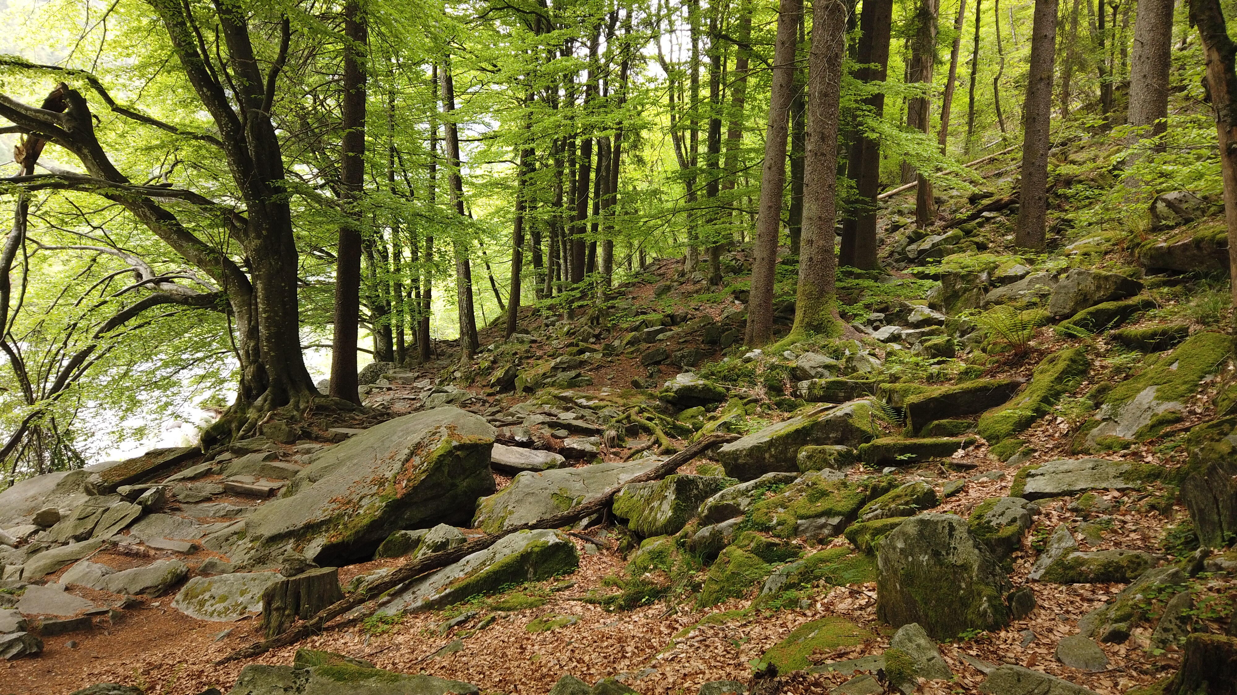 Bild ohne Beschreibung Bild ohne Beschreibung