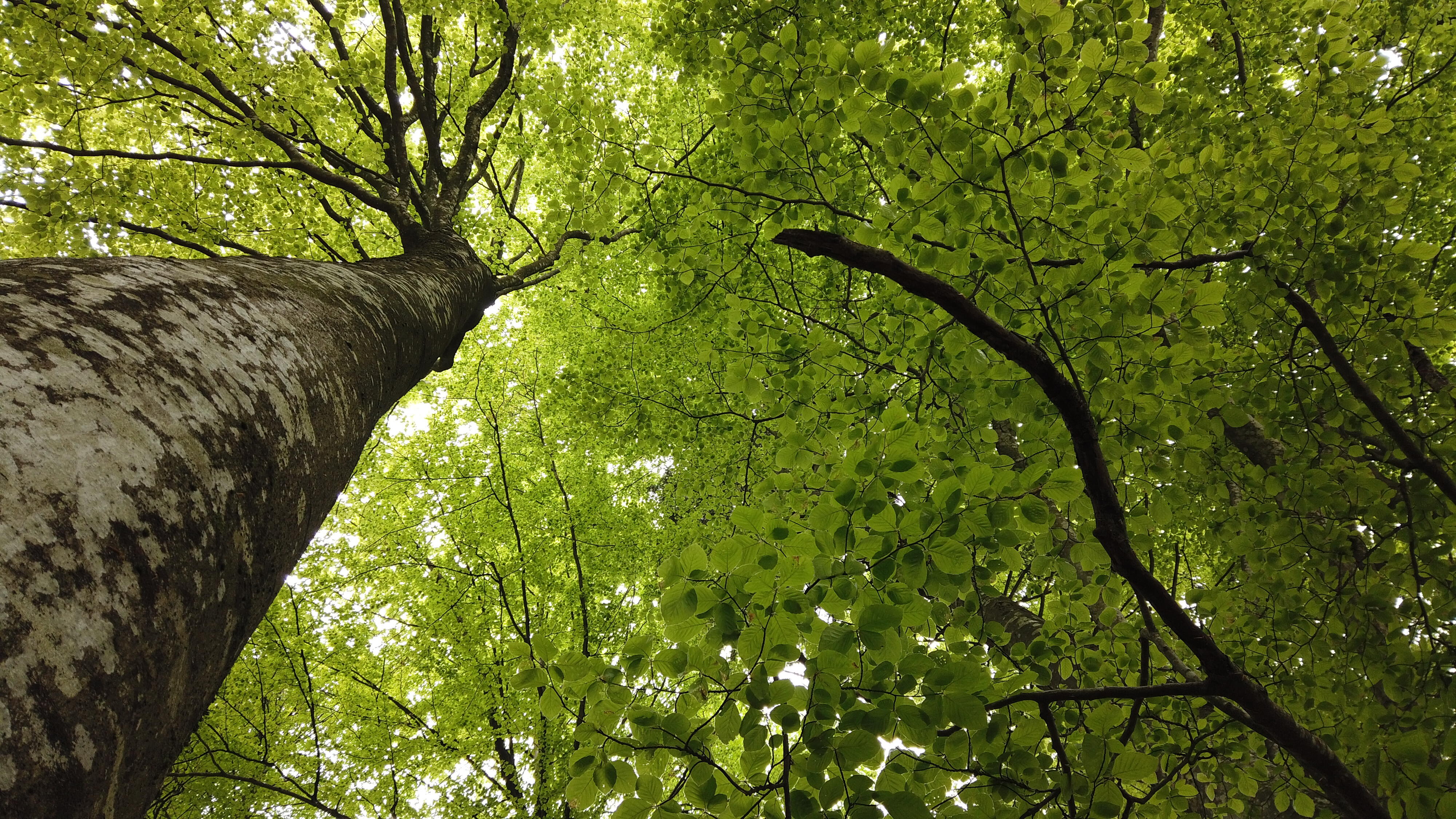 Bild ohne Beschreibung Bild ohne Beschreibung