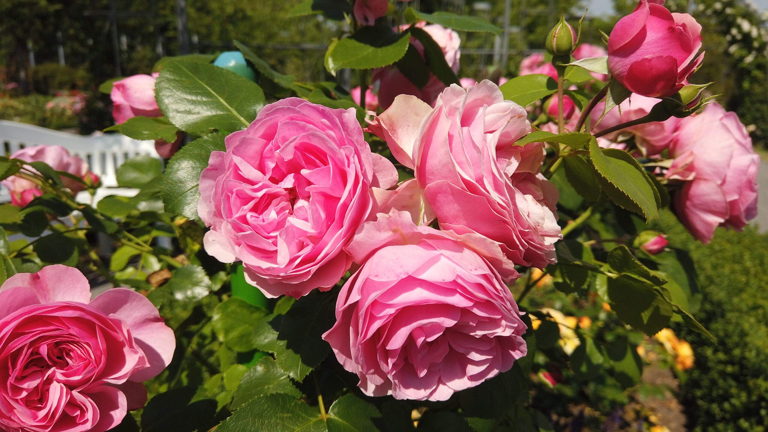 Bild ohne Beschreibung Bild ohne Beschreibung