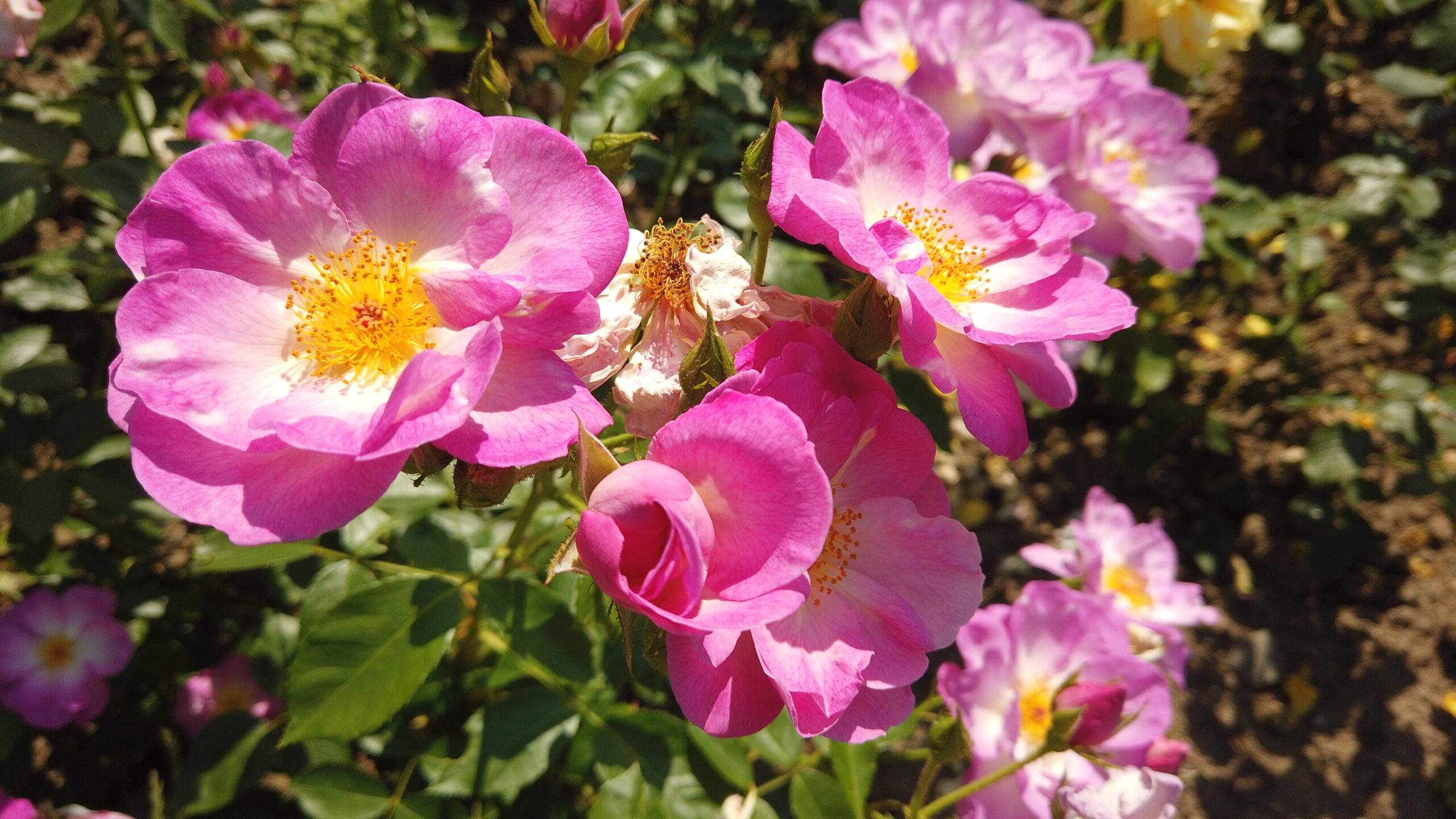 Bild ohne Beschreibung Bild ohne Beschreibung