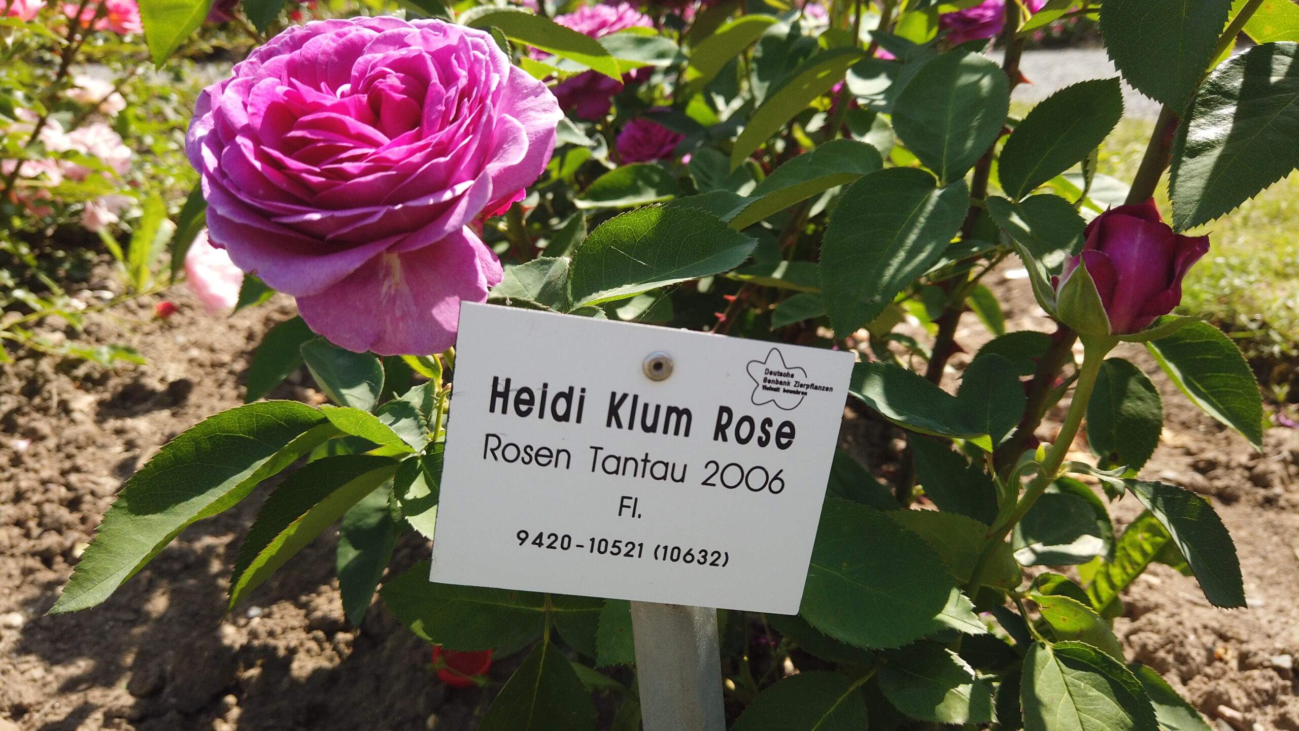 Bild ohne Beschreibung Bild ohne Beschreibung