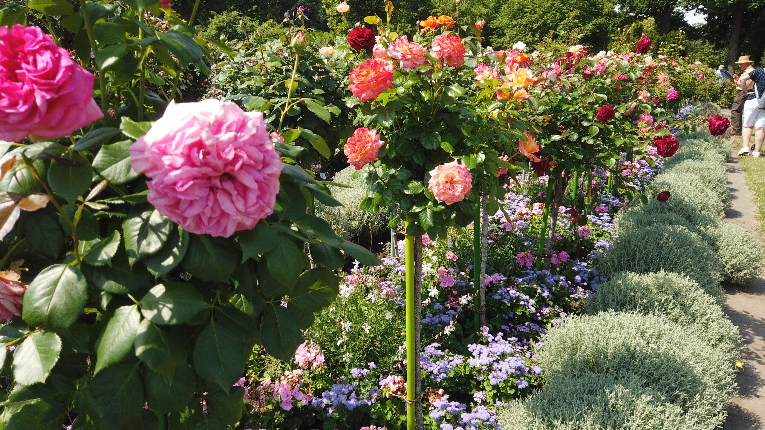 Bild ohne Beschreibung Bild ohne Beschreibung