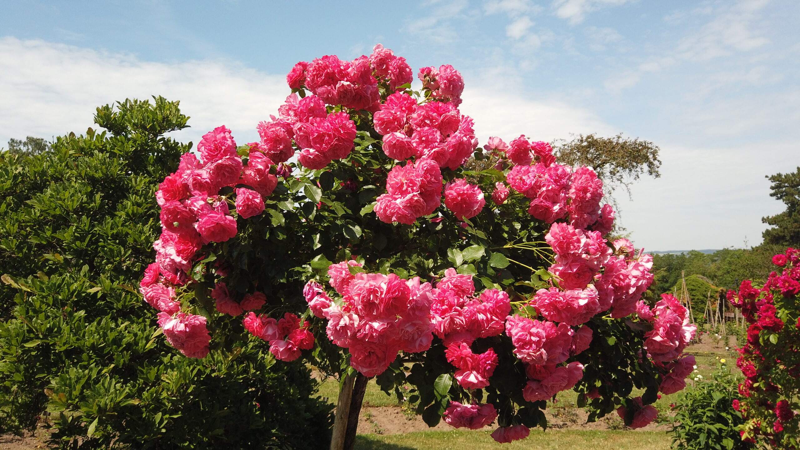 Bild ohne Beschreibung Bild ohne Beschreibung