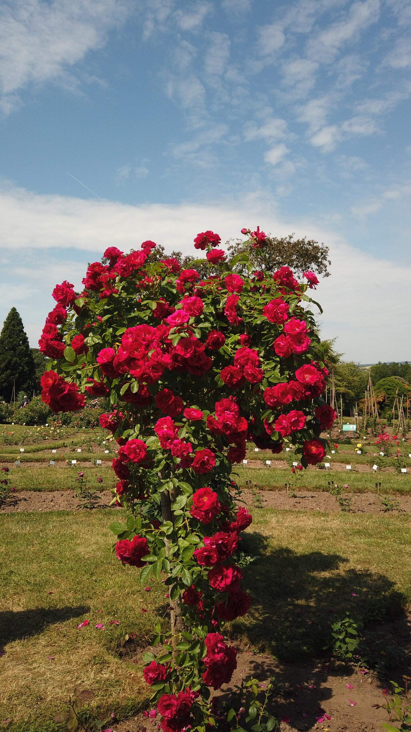 Bild ohne Beschreibung Bild ohne Beschreibung