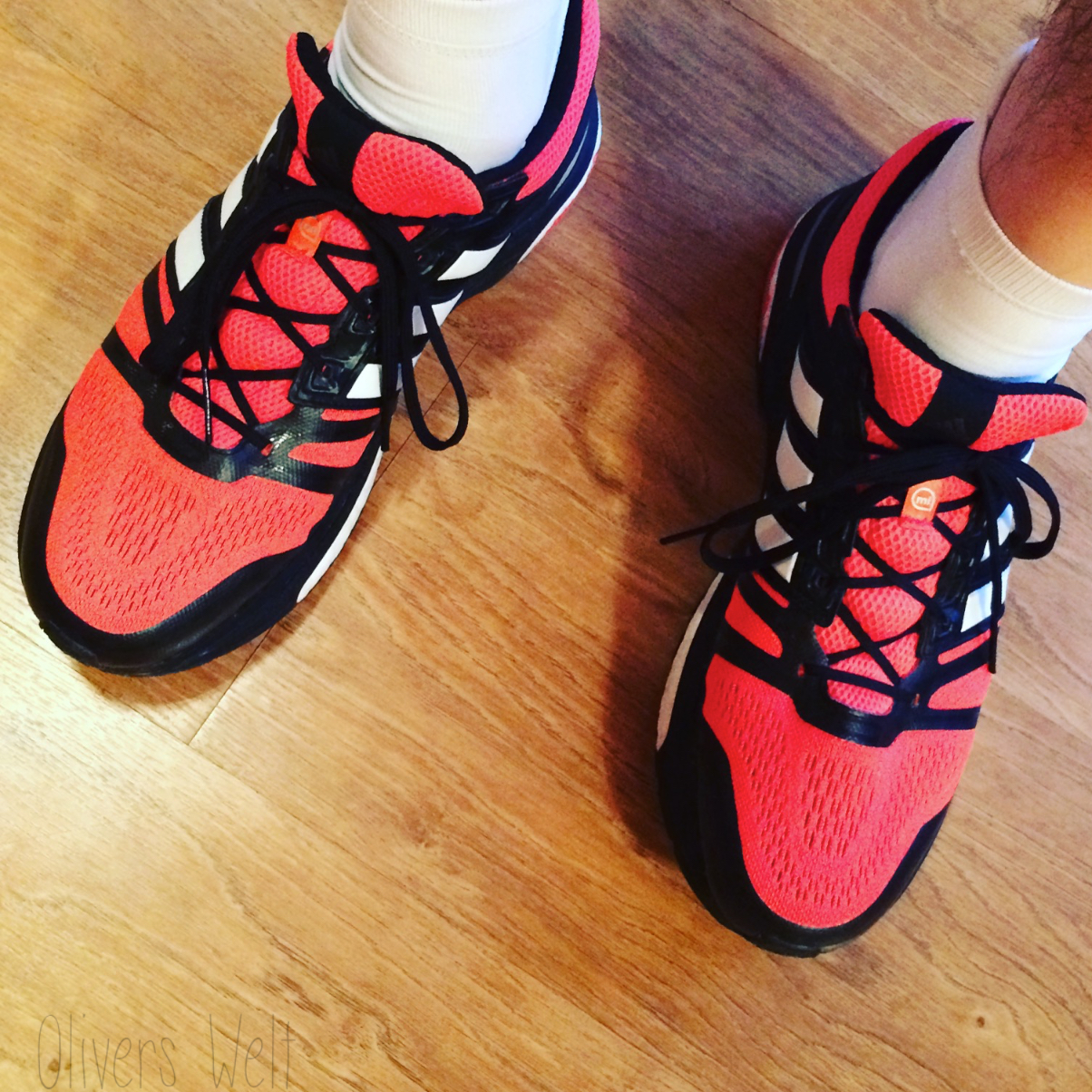 Bild ohne Beschreibung Bild ohne Beschreibung