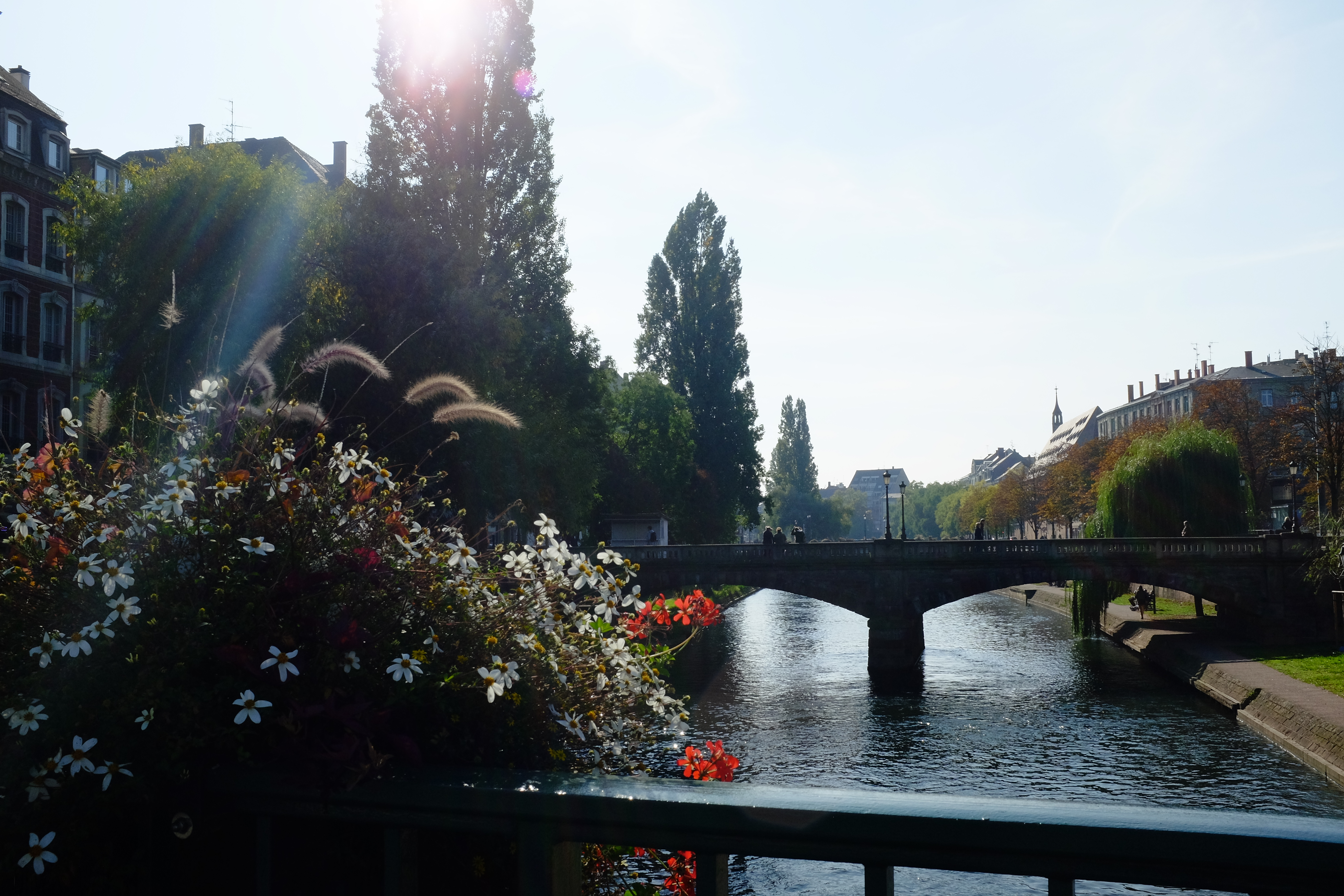 Strassburg/Strasbourg Frankreich/France Strassburg/Strasbourg Frankreich/France